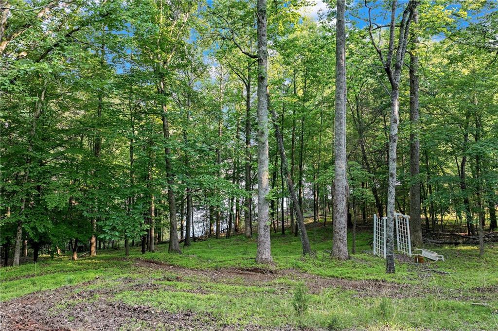 2020 War Hill Park Road