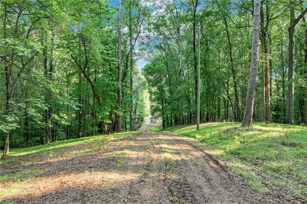 2020 War Hill Park Road