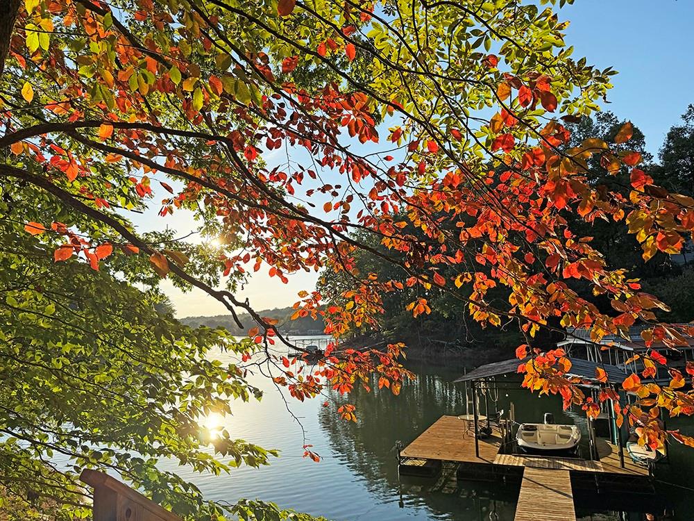 6194 Grants Ford Drive