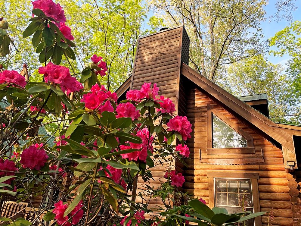 6194 Grants Ford Drive