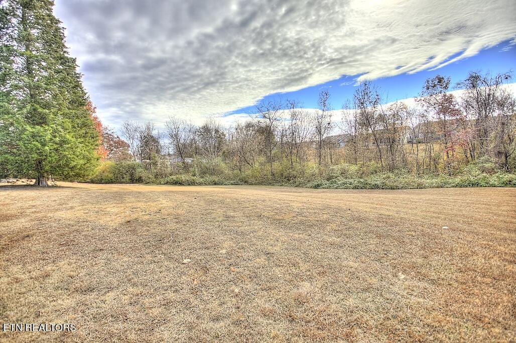 414 Pinebark Drive