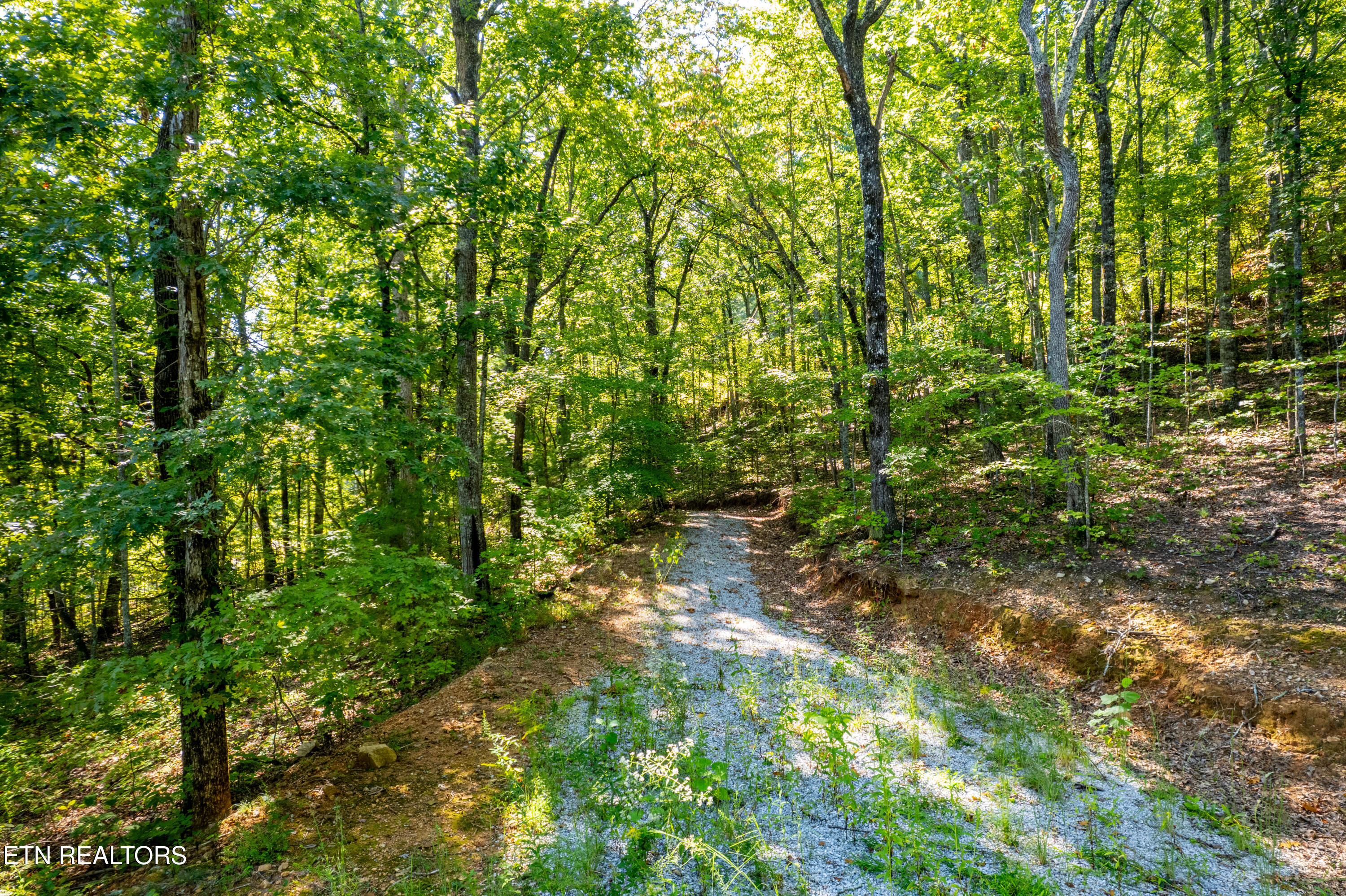 105 Warriors Passage Drive