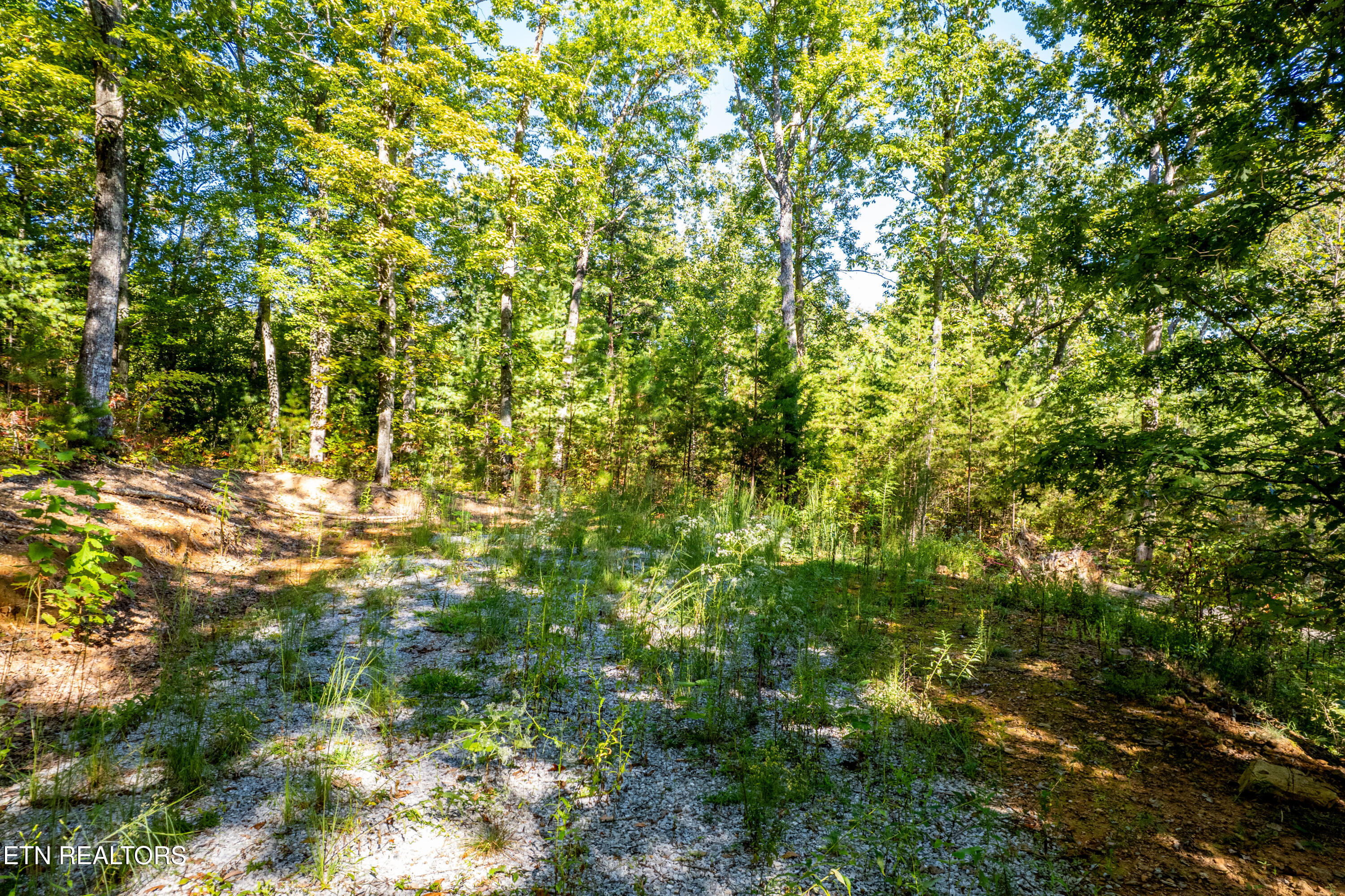 105 Warriors Passage Drive