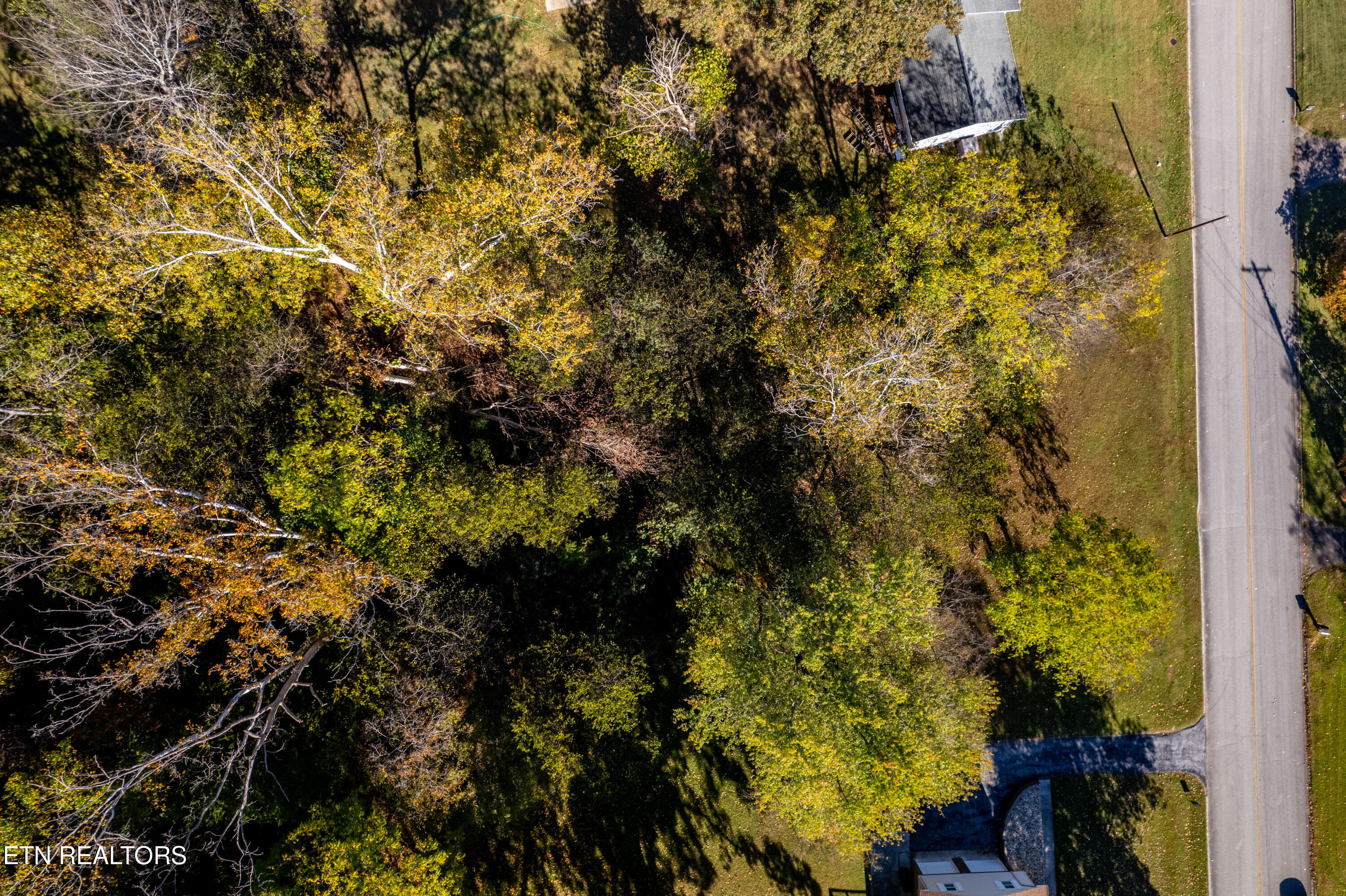 11905 Midhurst Drive