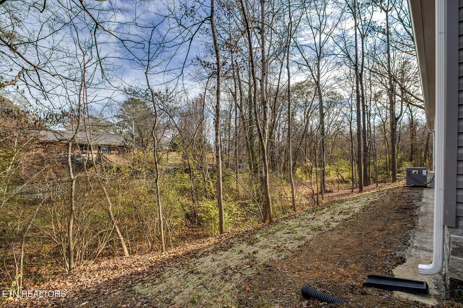 297 Wilkins Ave