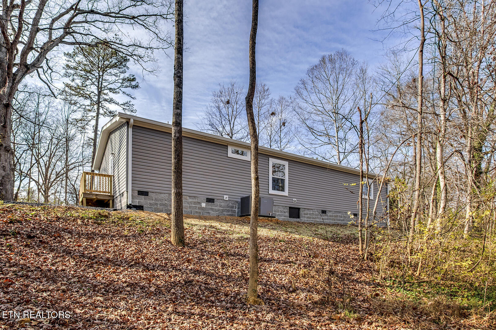 297 Wilkins Ave