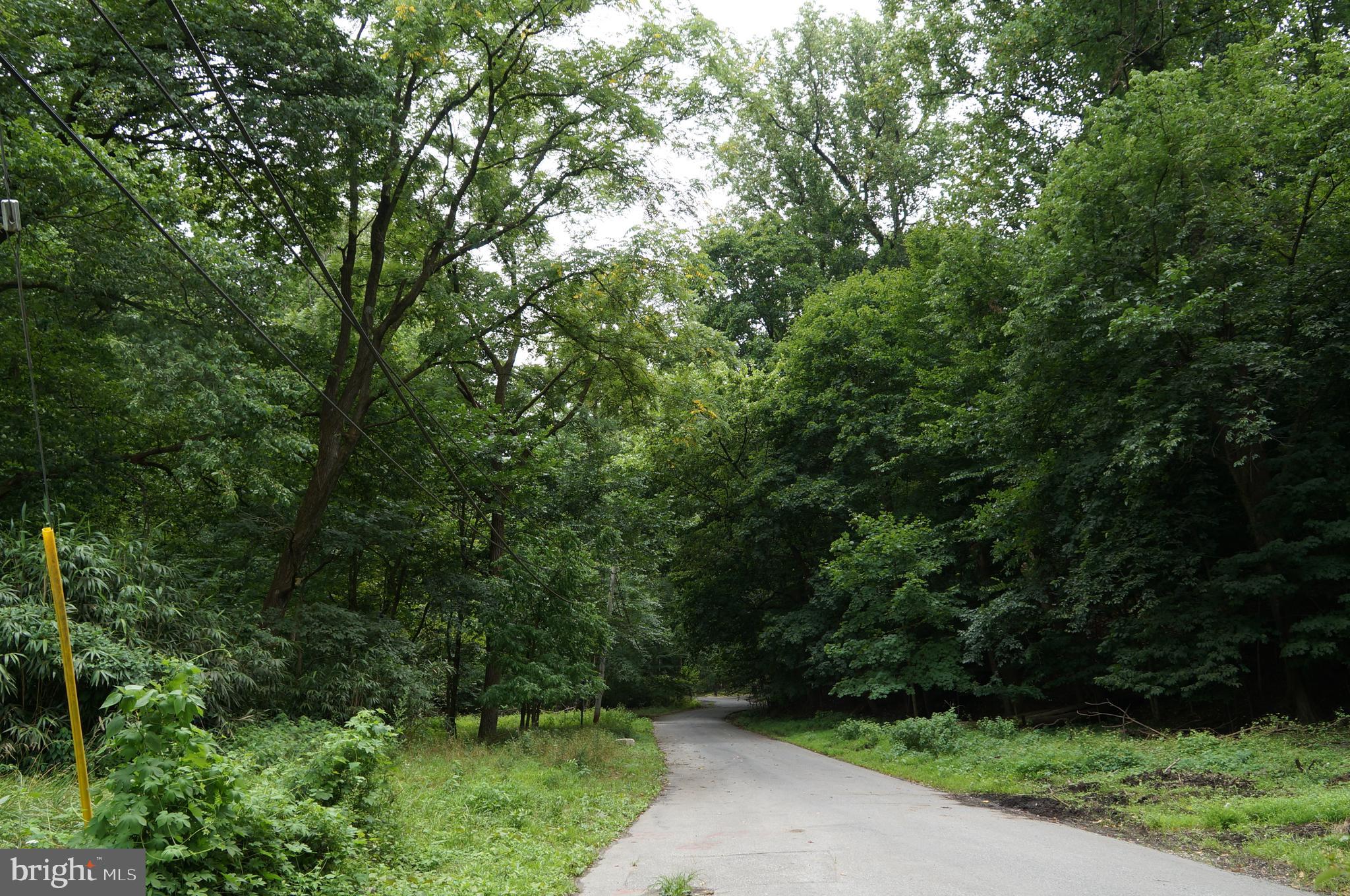 2076 ROCKROSE AVENUE