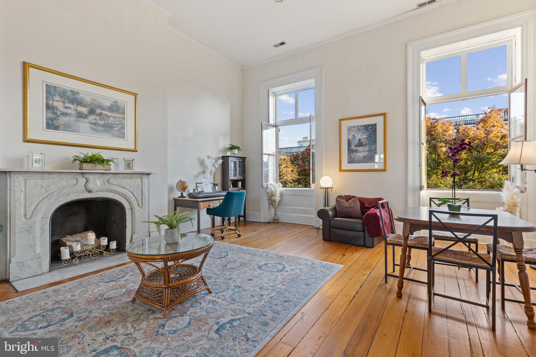 12 E MOUNT VERNON PLACE 201