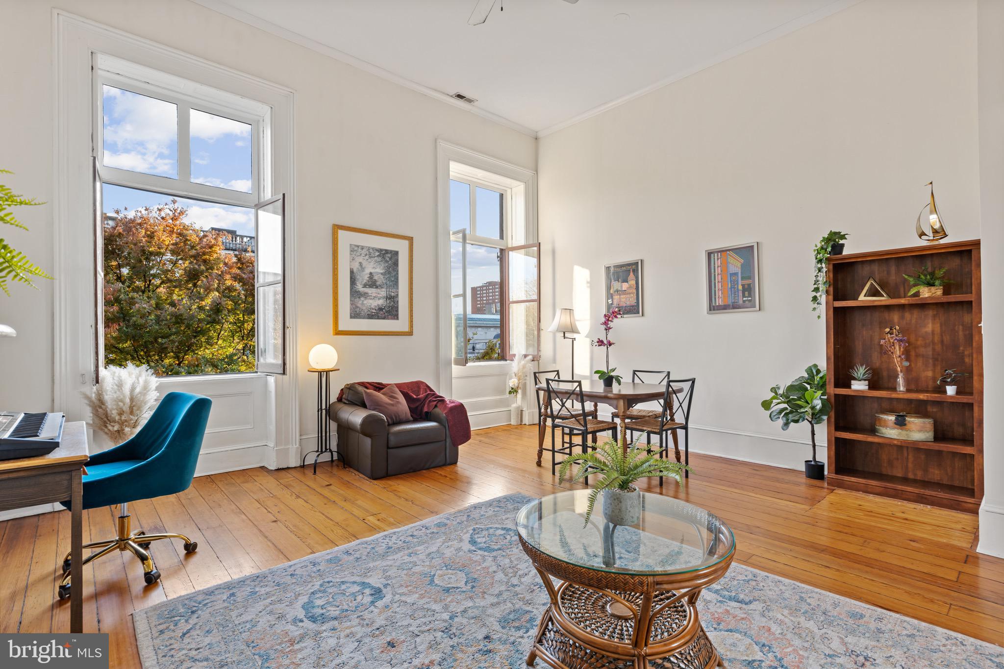 12 E MOUNT VERNON PLACE 201