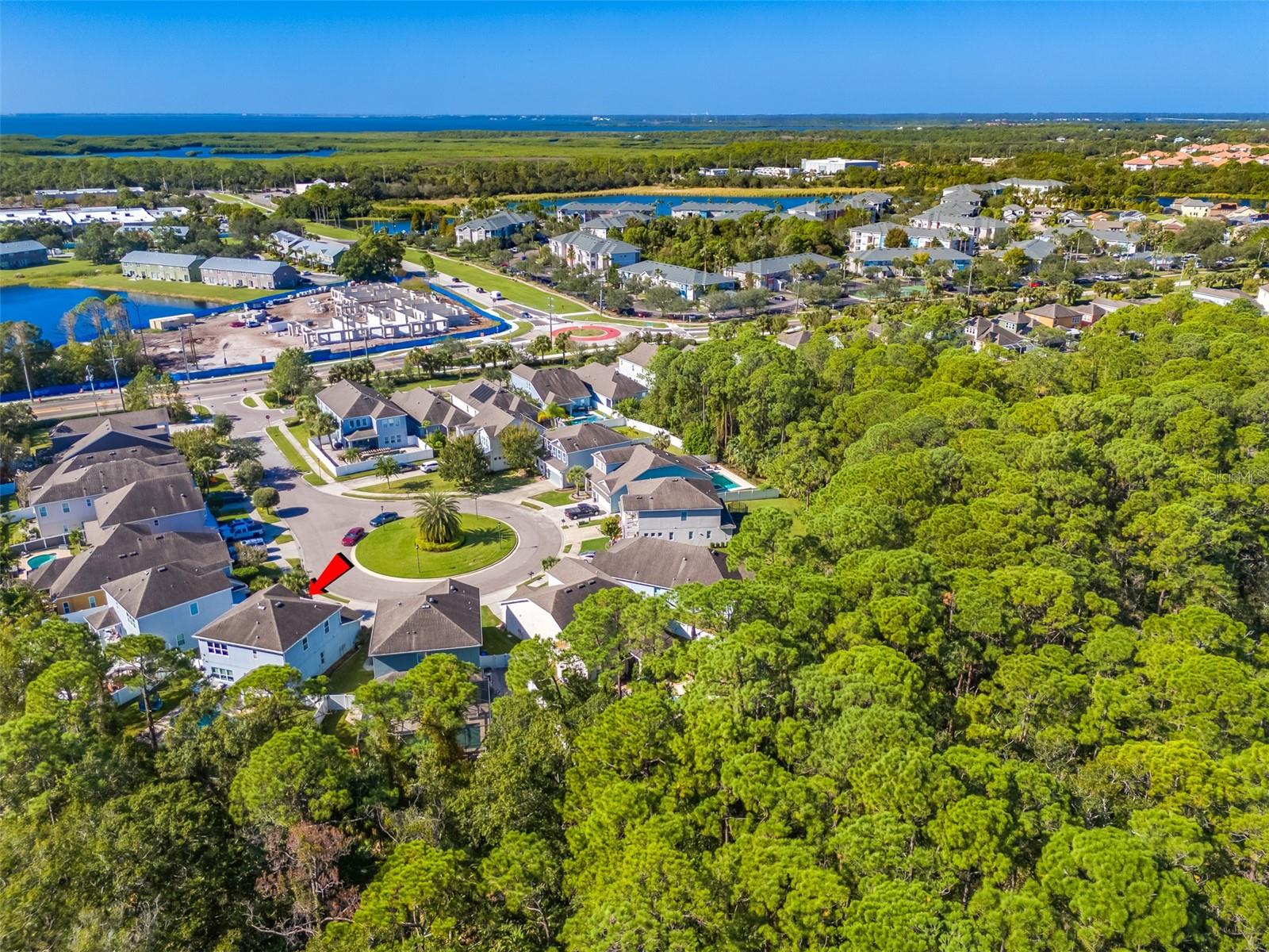 8119 CHAMPIONS FOREST WAY