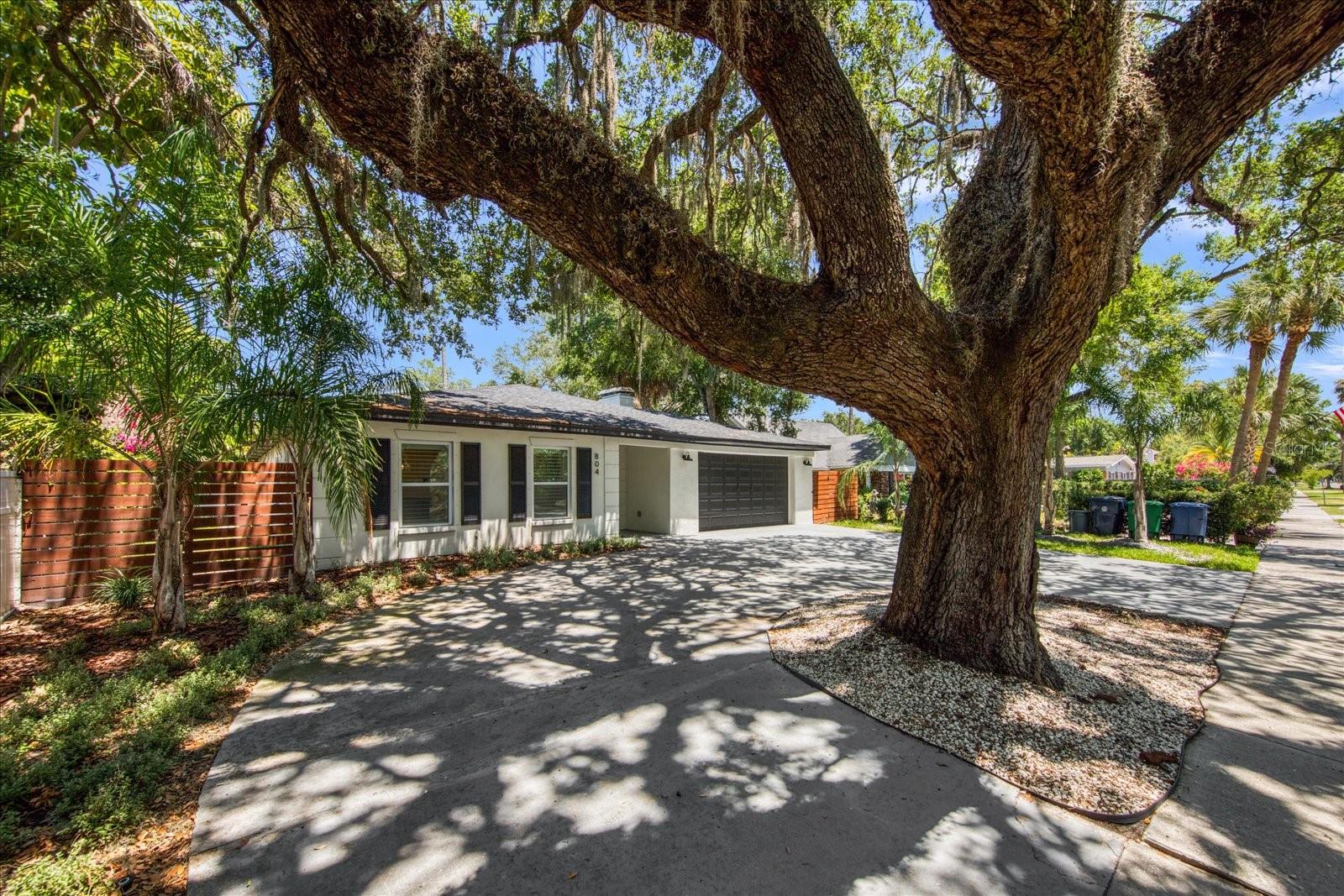 804 S WEST SHORE BLVD