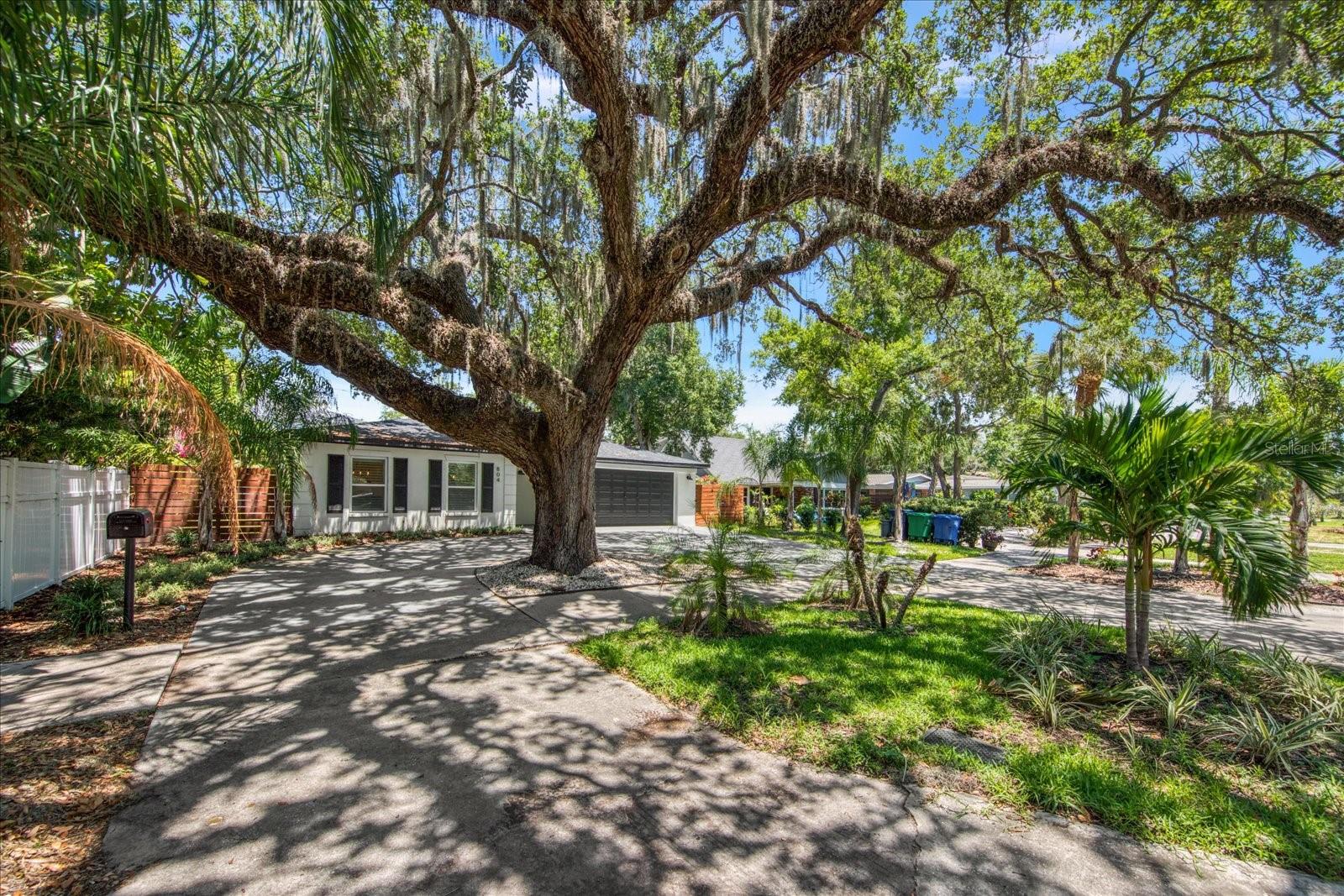 804 S WEST SHORE BLVD