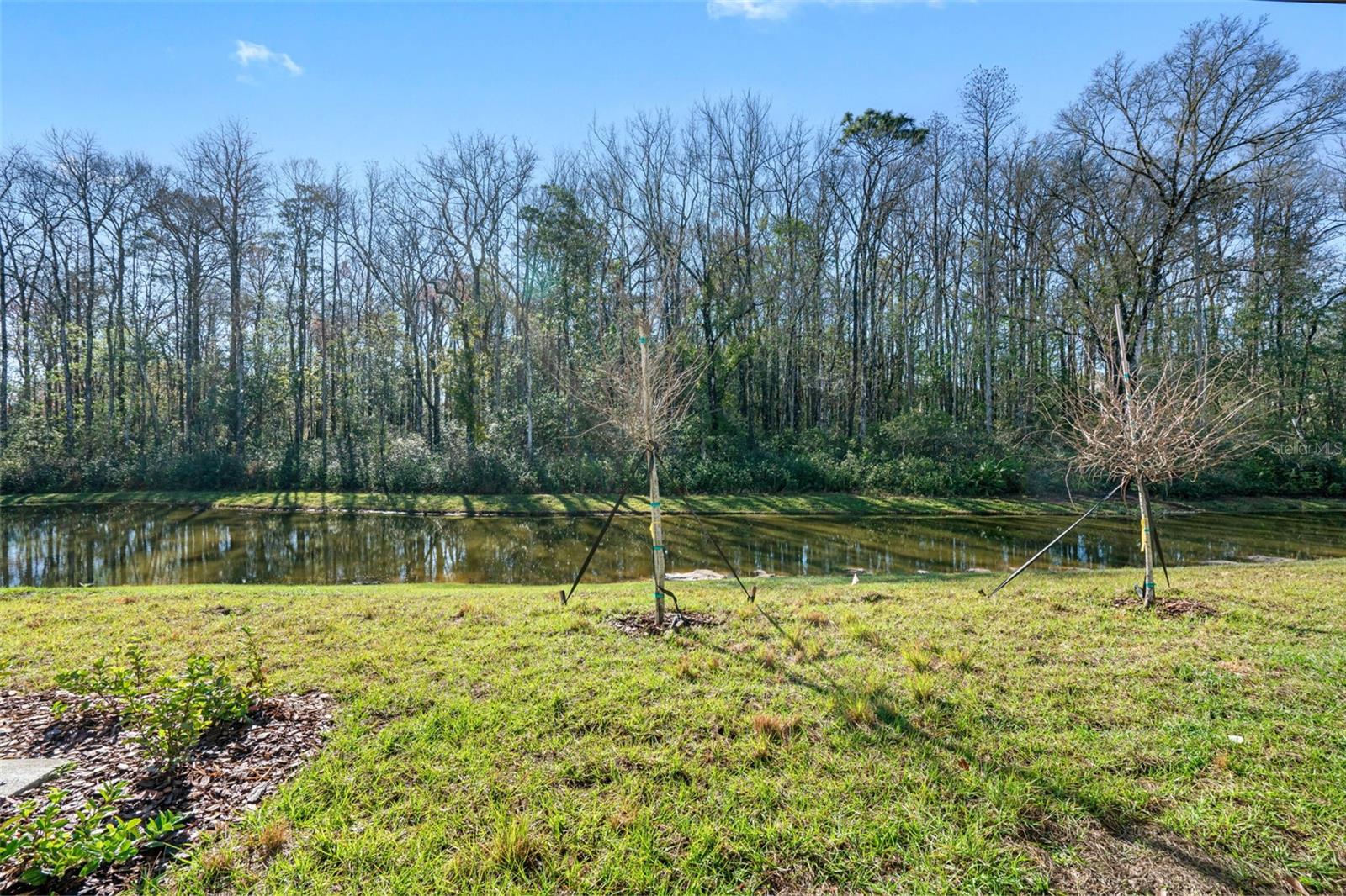 17425 NECTAR FLUME DR