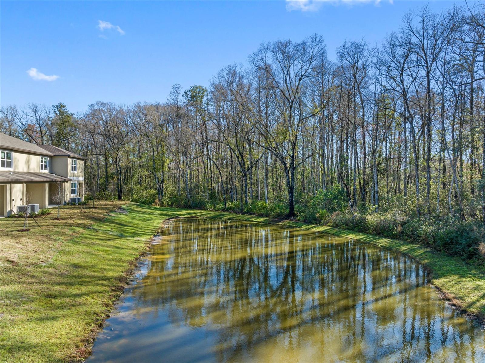 17425 NECTAR FLUME DR