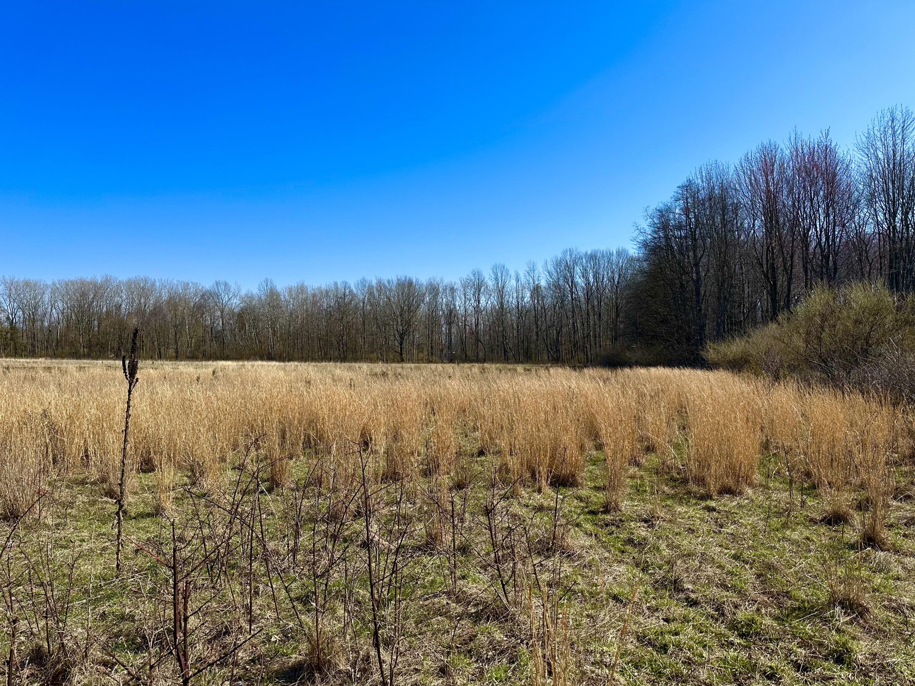 Lot 9 Foster Lane