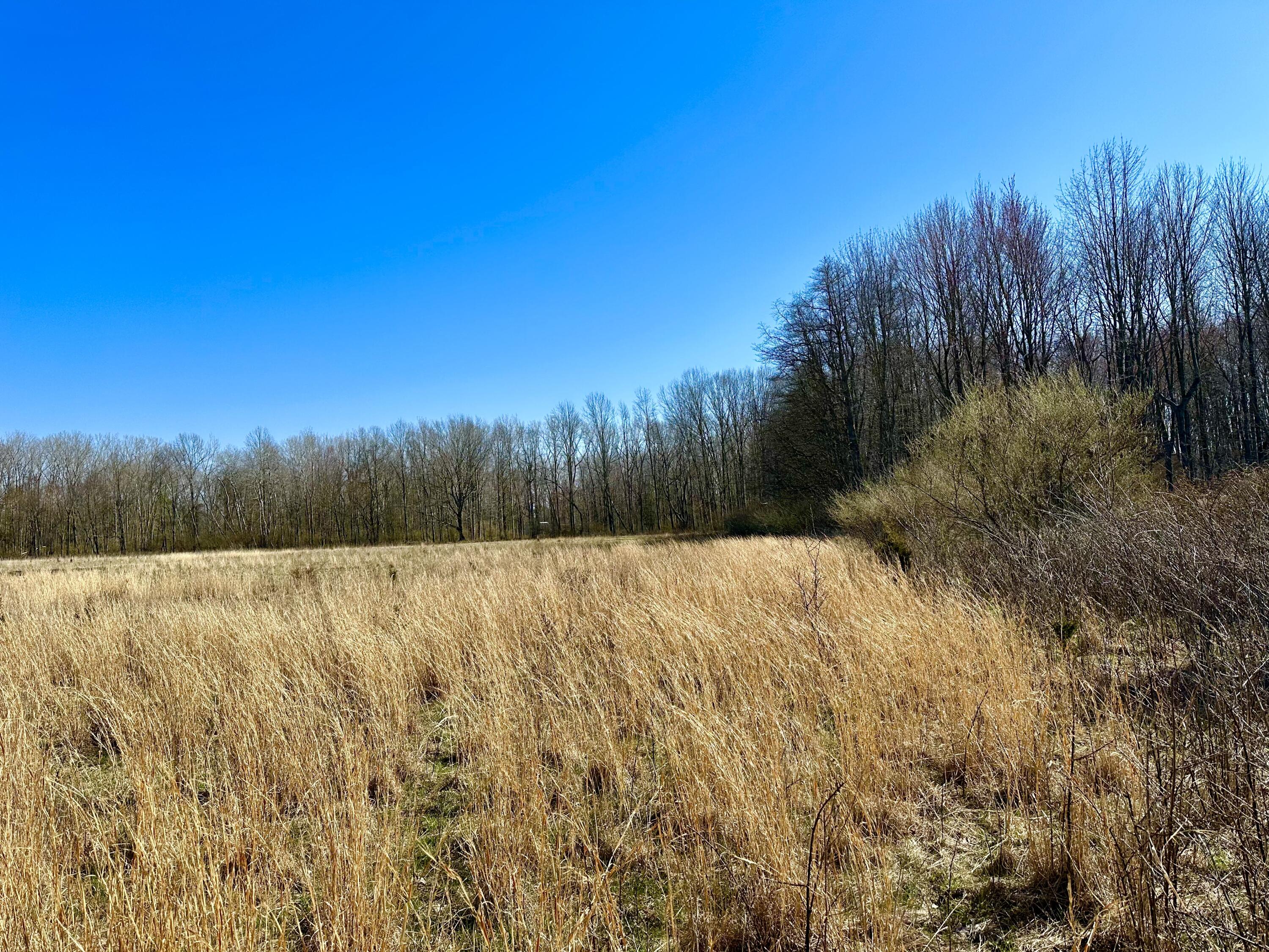 Lot 9 Foster Lane