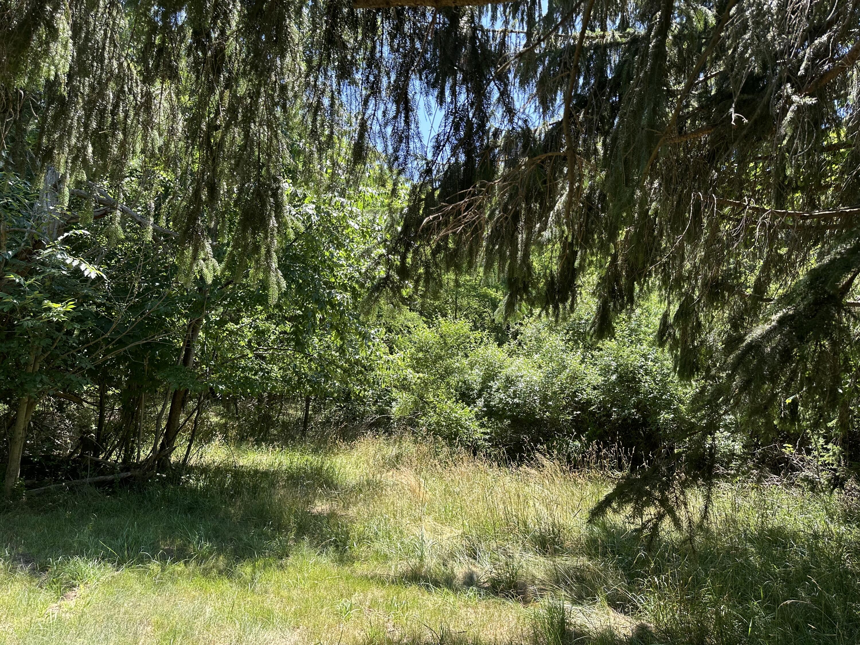 Lot 1 Christopher Lane