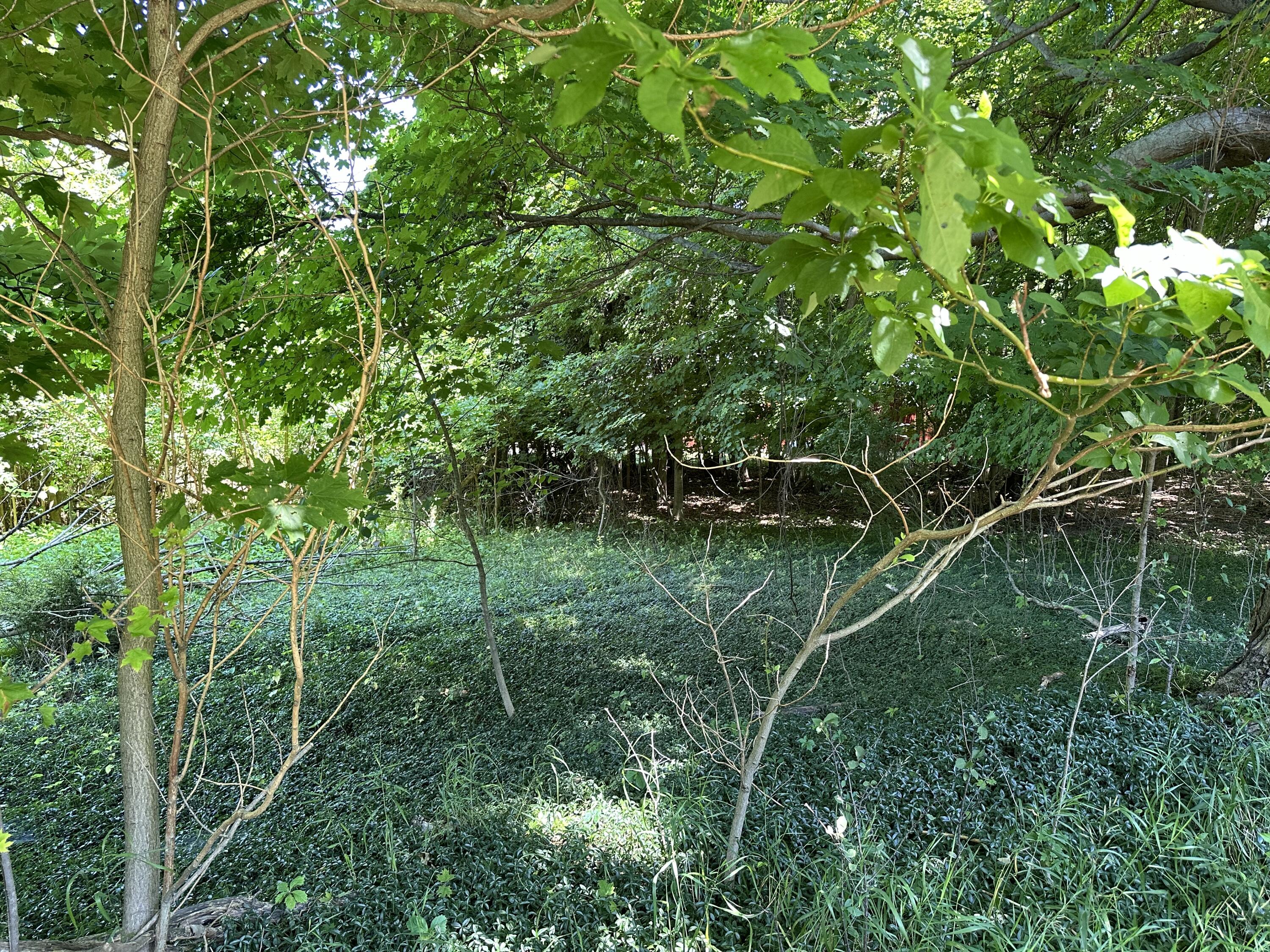 Lot 1 Christopher Lane