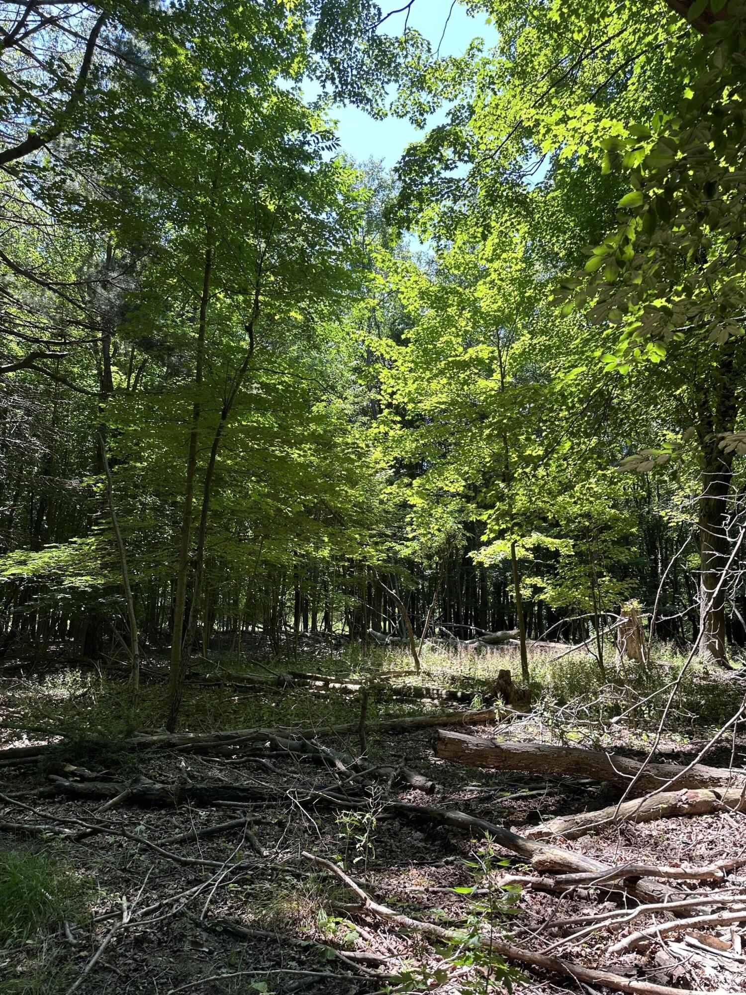 Lot 2 Christopher Lane