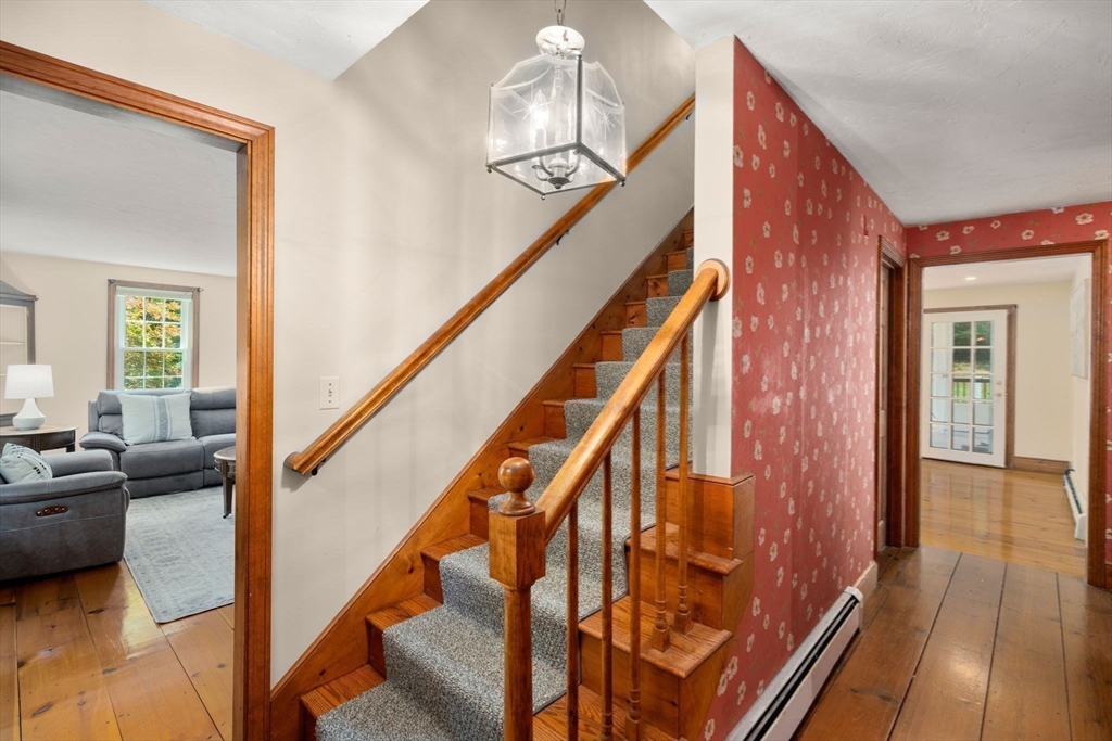 223 Elm Street