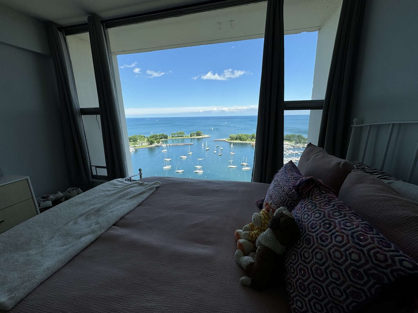 3200 N Lake Shore Drive Unit: 2410