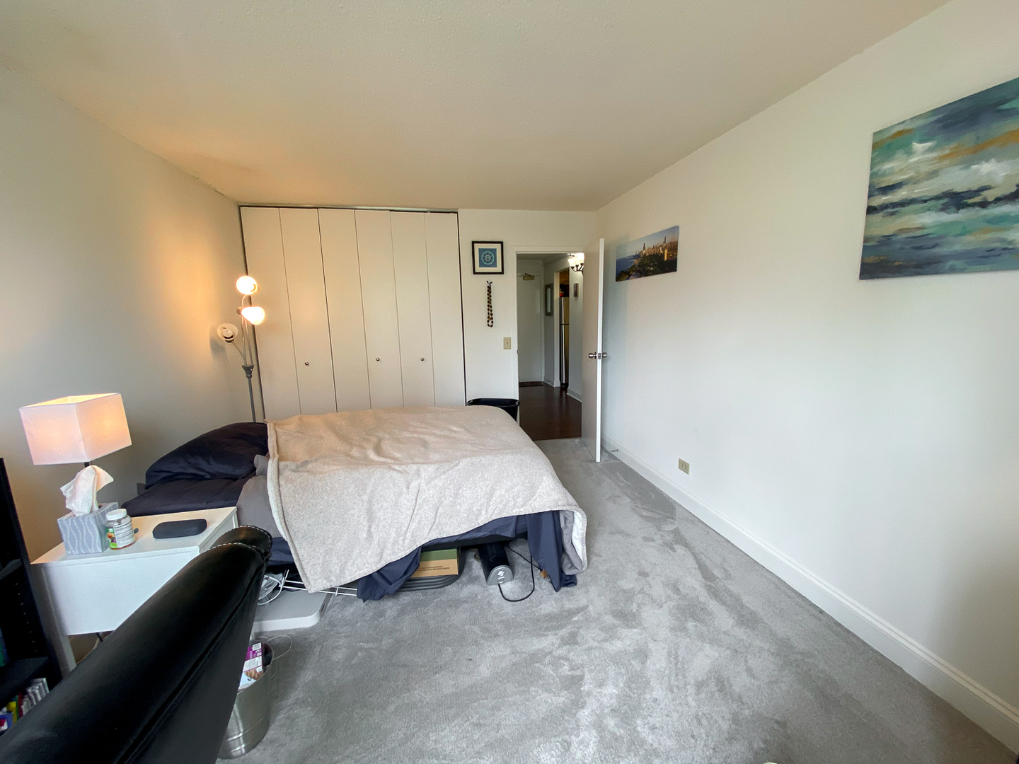 1250 N LaSalle Street Unit: 412