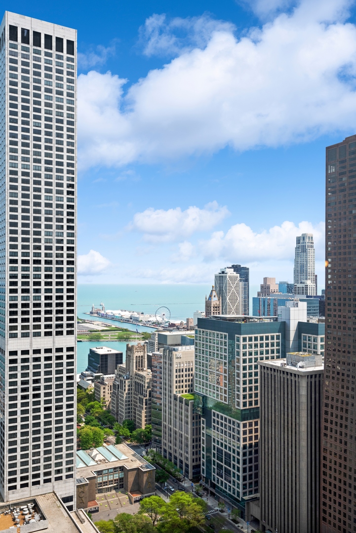 111 E Chestnut Street Unit: 56AB