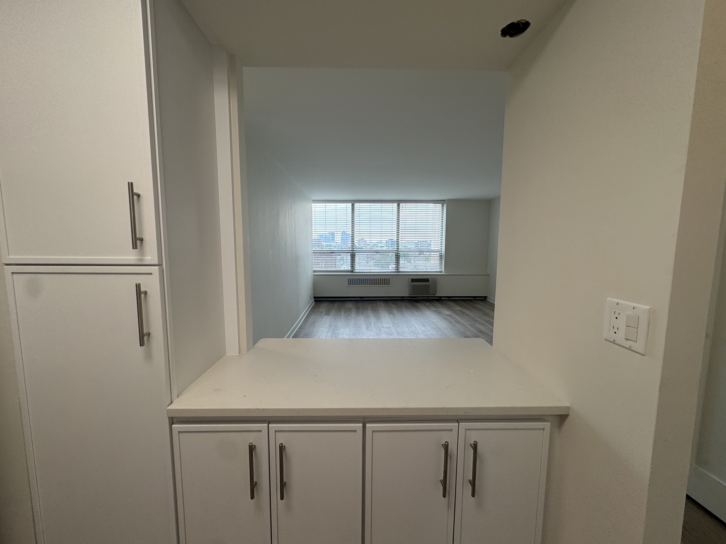 70 W Burton Place Unit: 1108