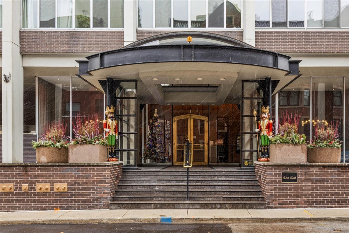 1 E Schiller Street Unit: 22A