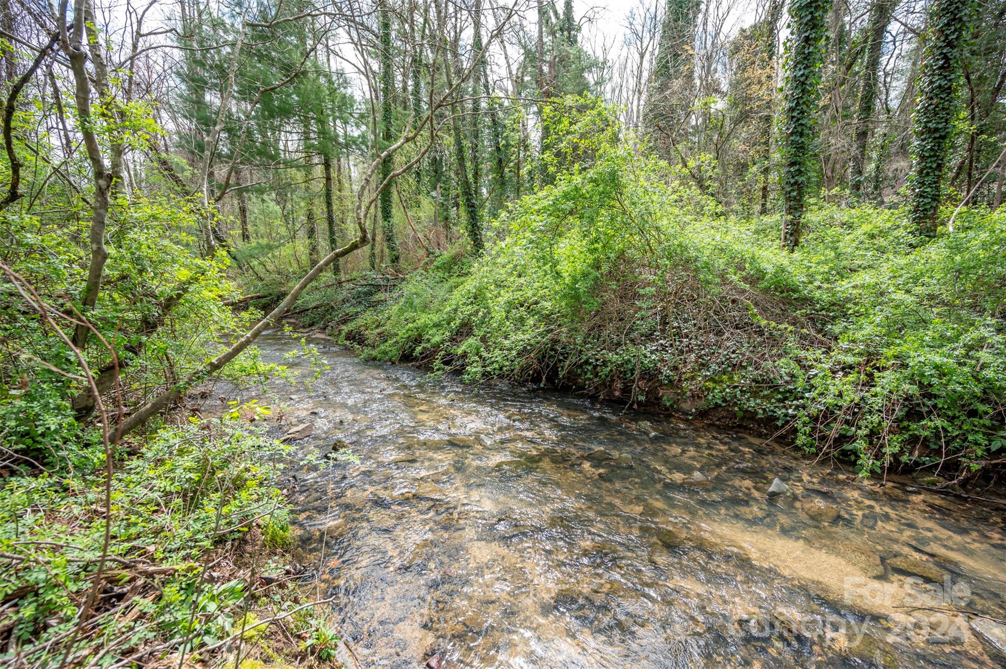 156 Wash Creek Drive Unit: C