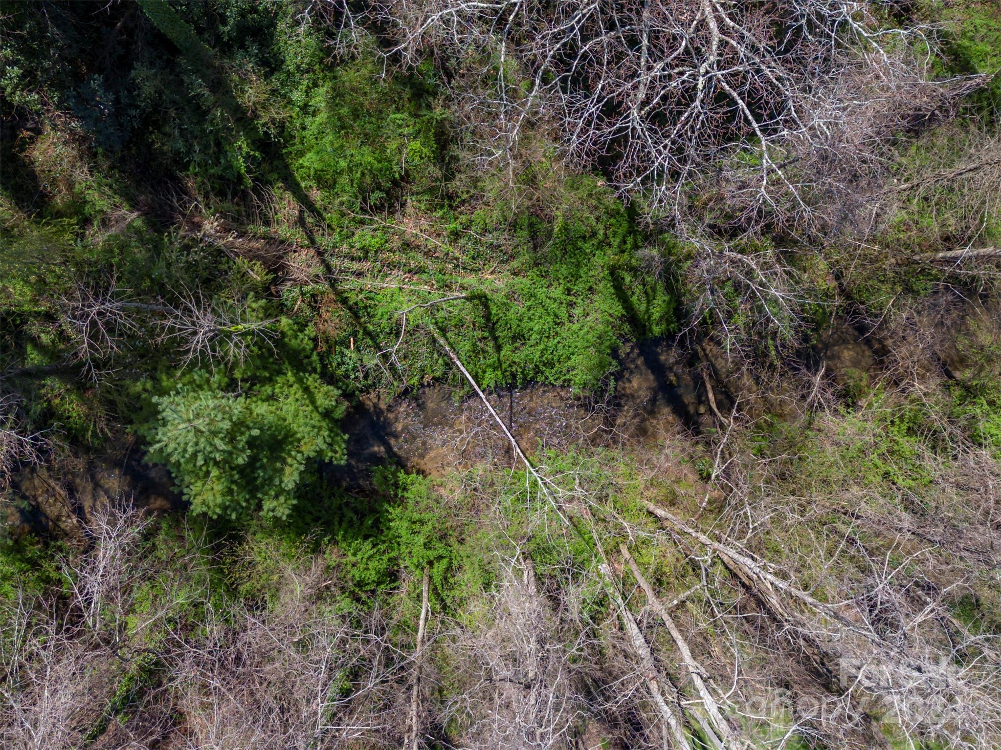 156 Wash Creek Drive Unit: C