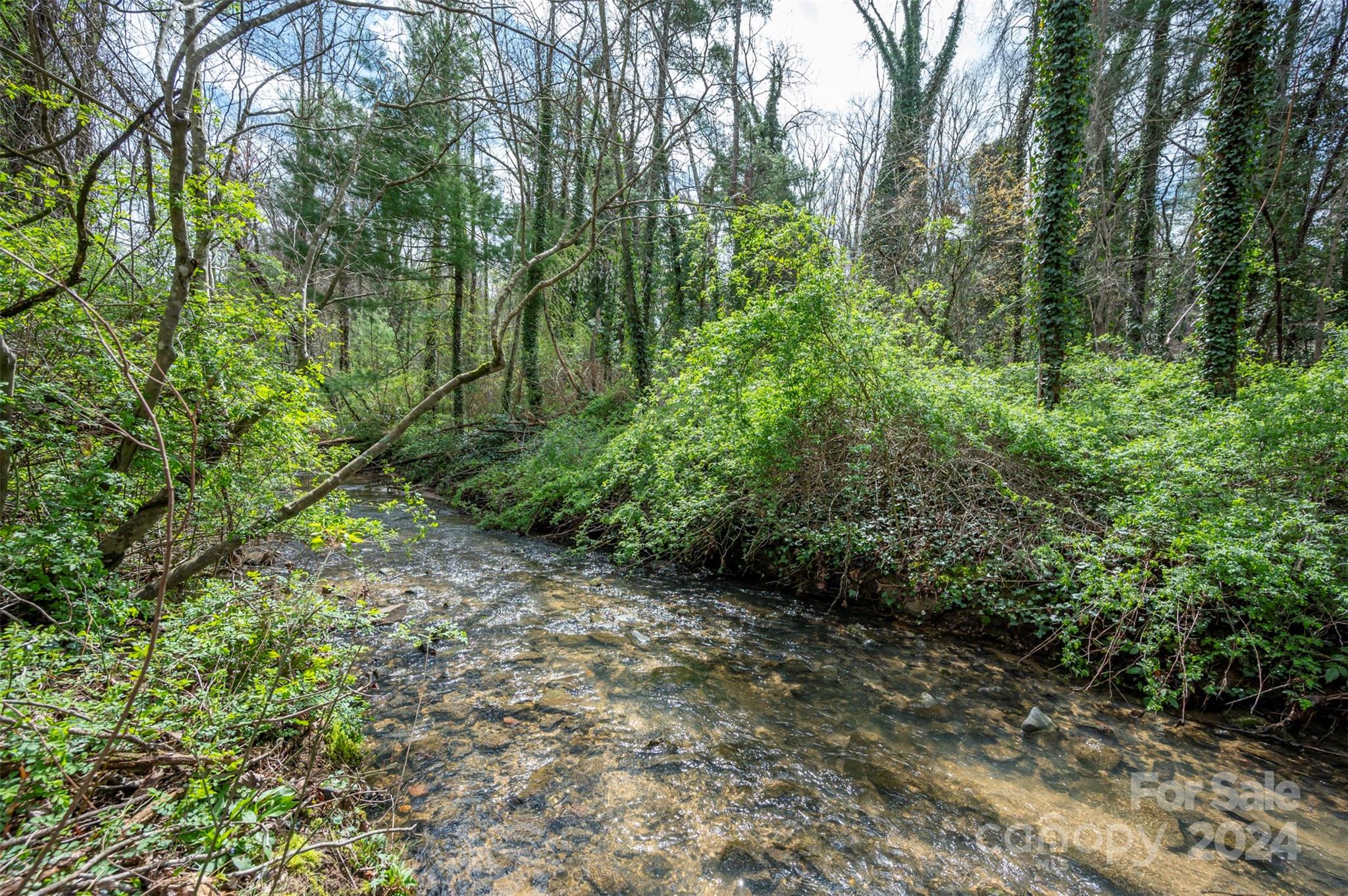 156 Wash Creek Drive Unit: C