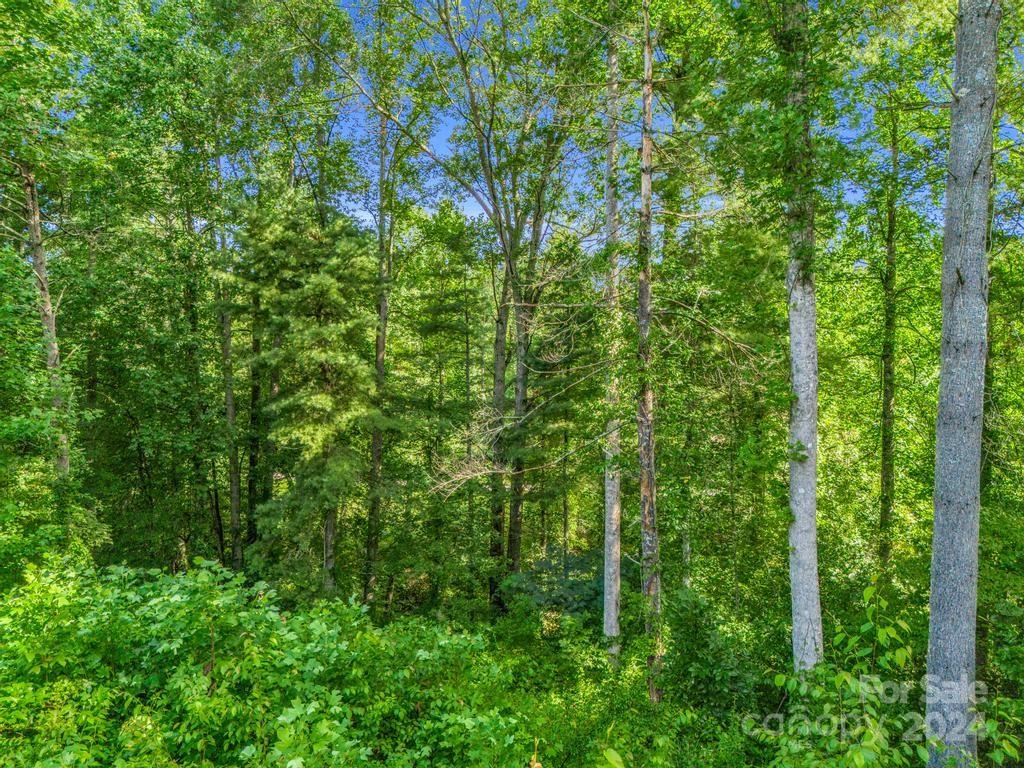 87 Solomons Cove Road