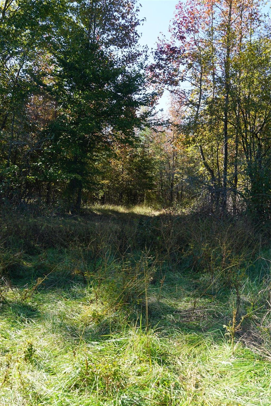 16 Acres Falcon Lane