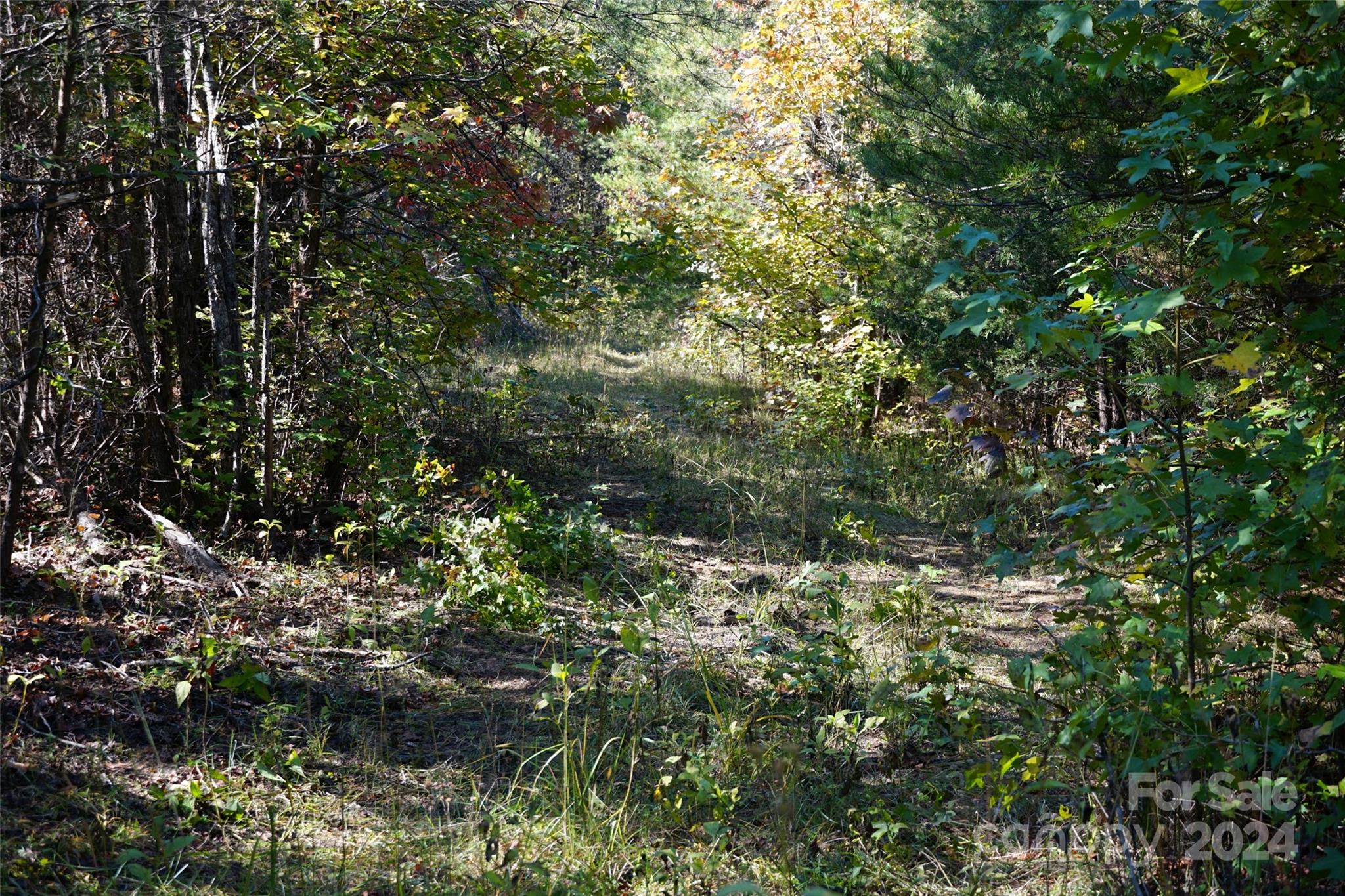 16 Acres Falcon Lane