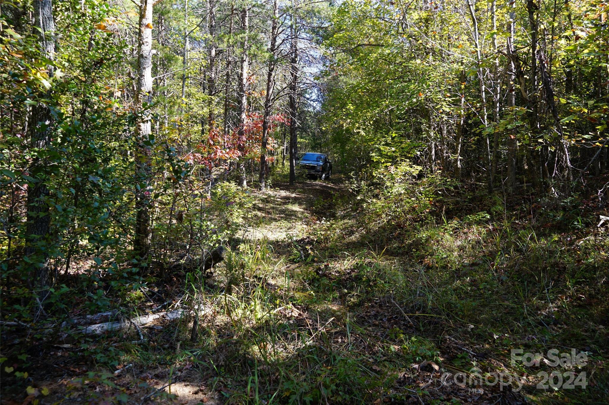 16 Acres Falcon Lane