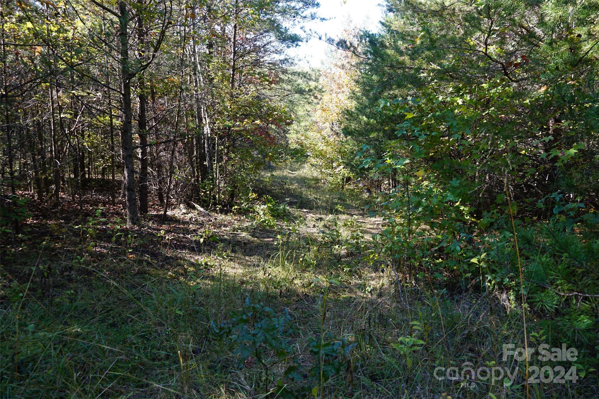 16 Acres Falcon Lane