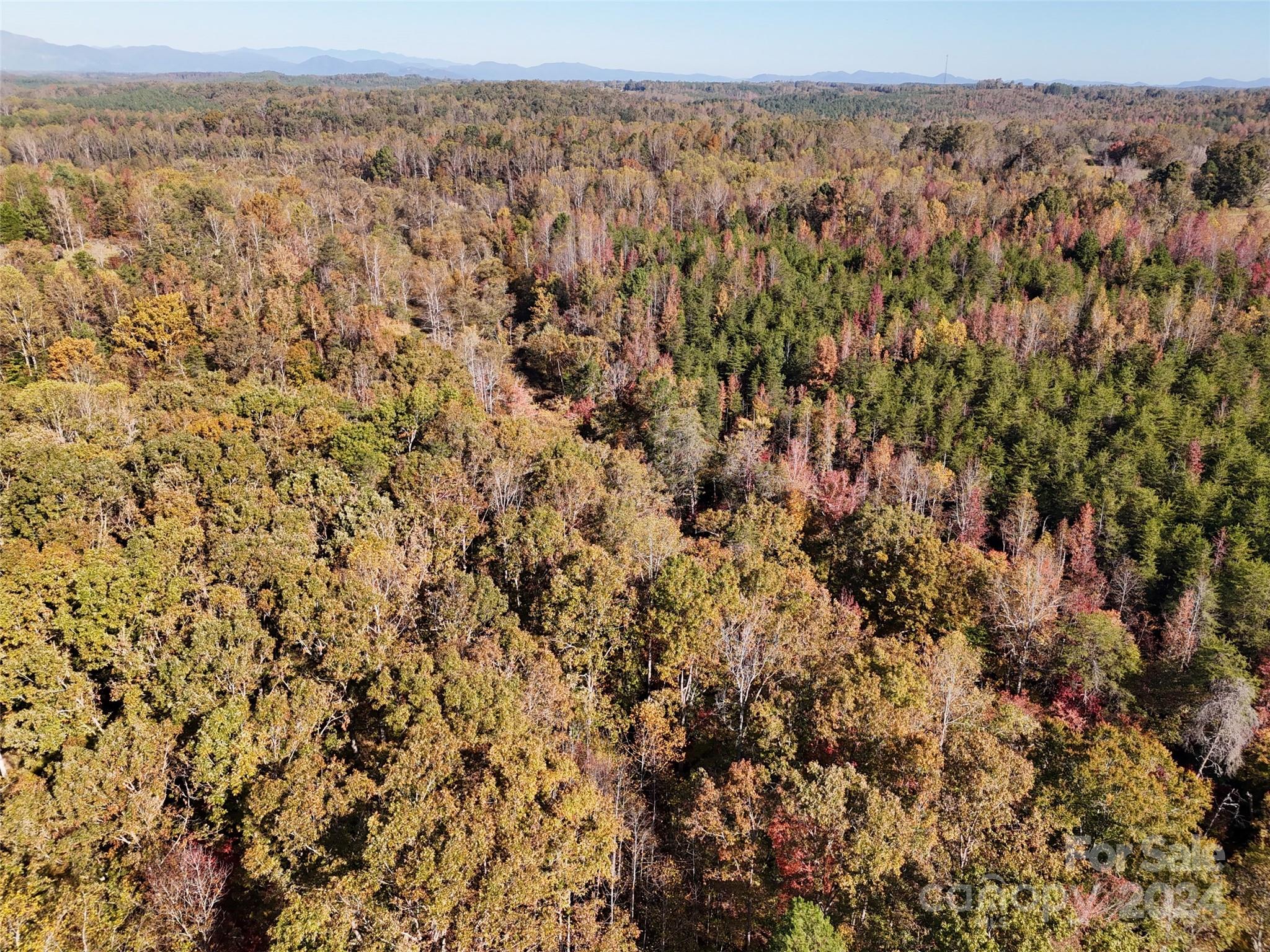 16 Acres Falcon Lane