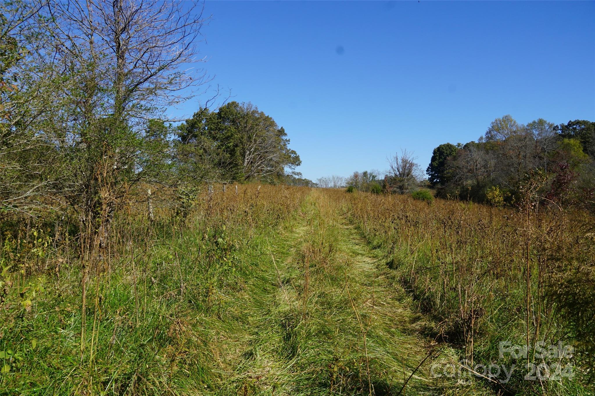 16 Acres Falcon Lane