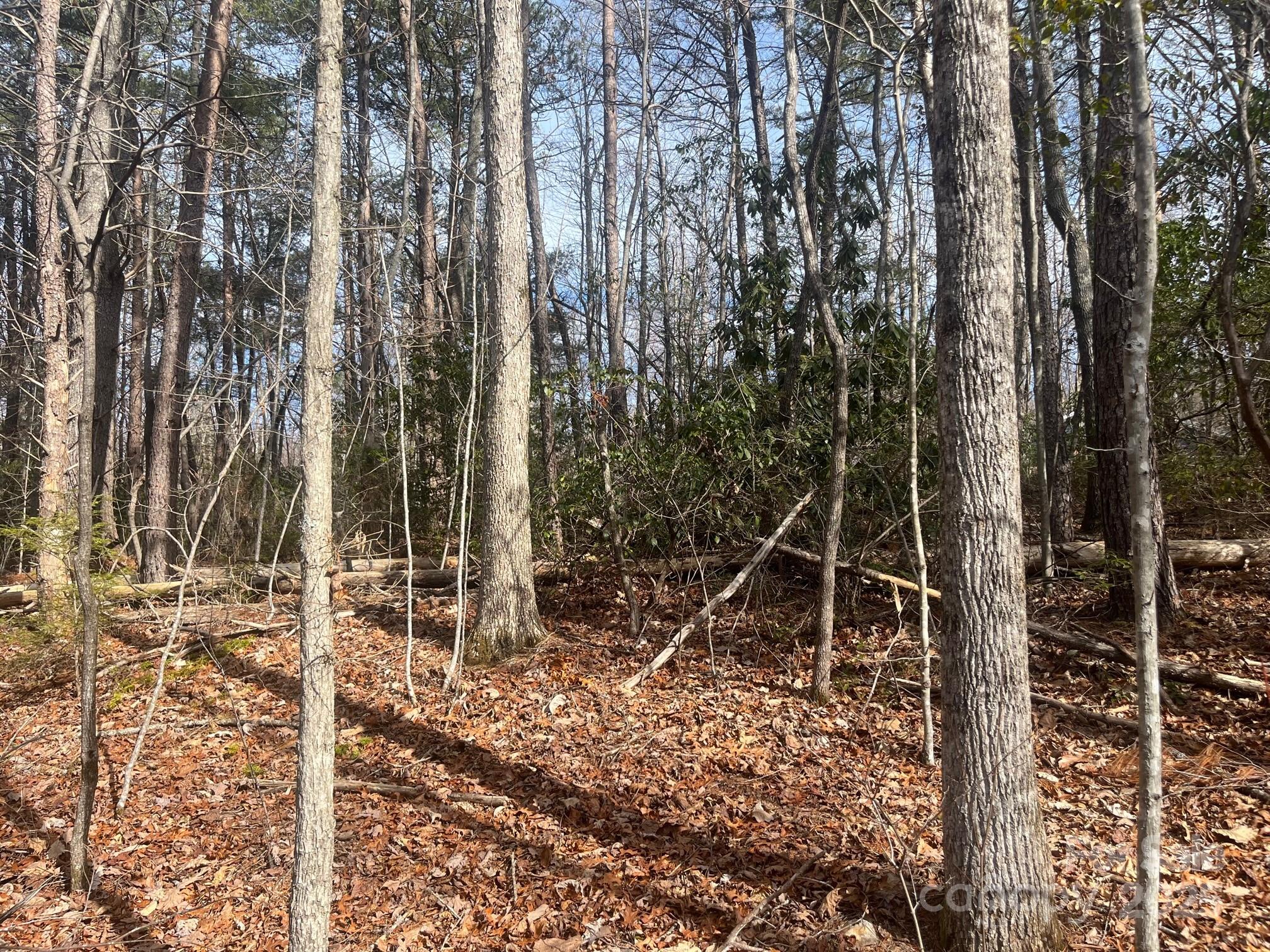 000 Western Red Bird Drive