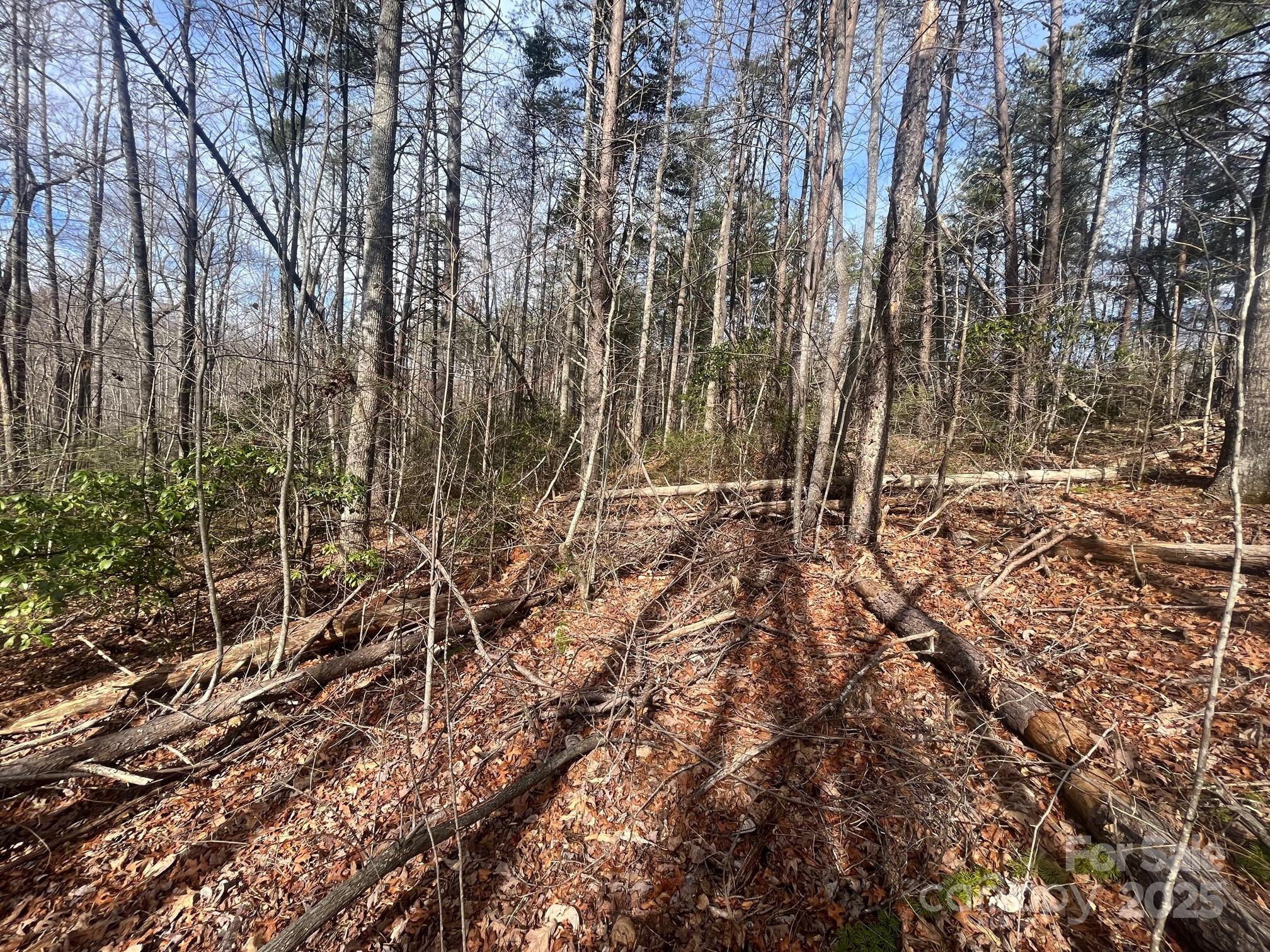 000 Western Red Bird Drive