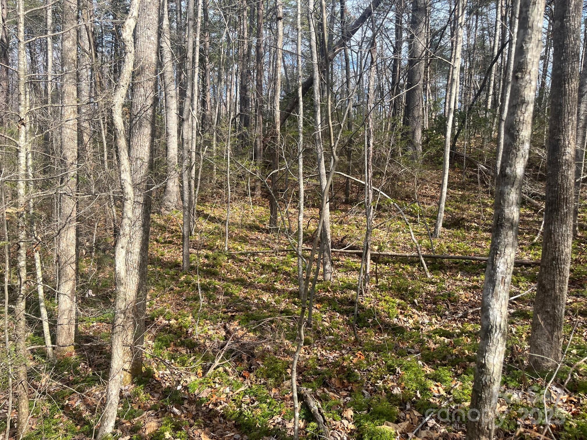 000 Western Red Bird Drive