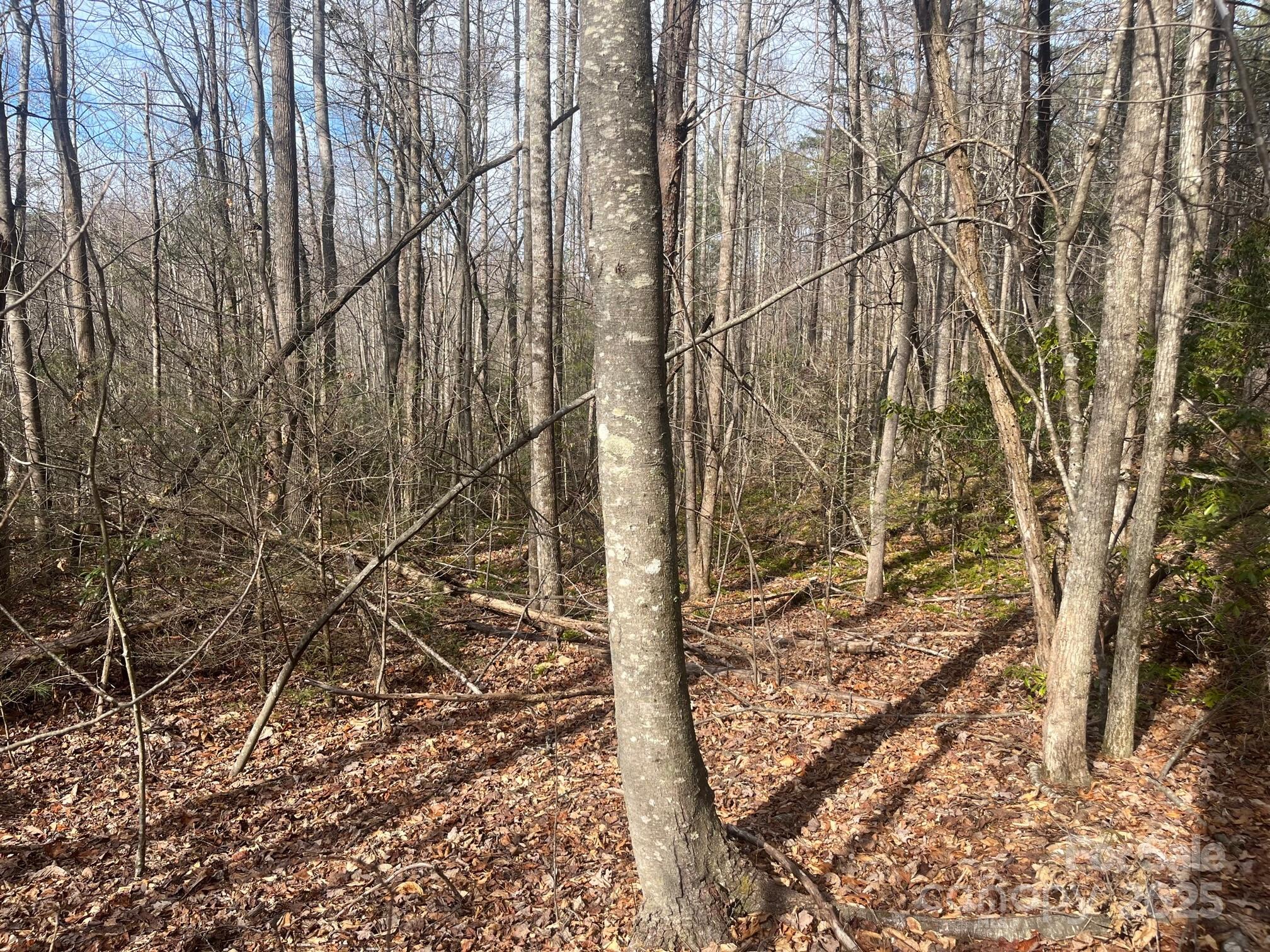 000 Western Red Bird Drive