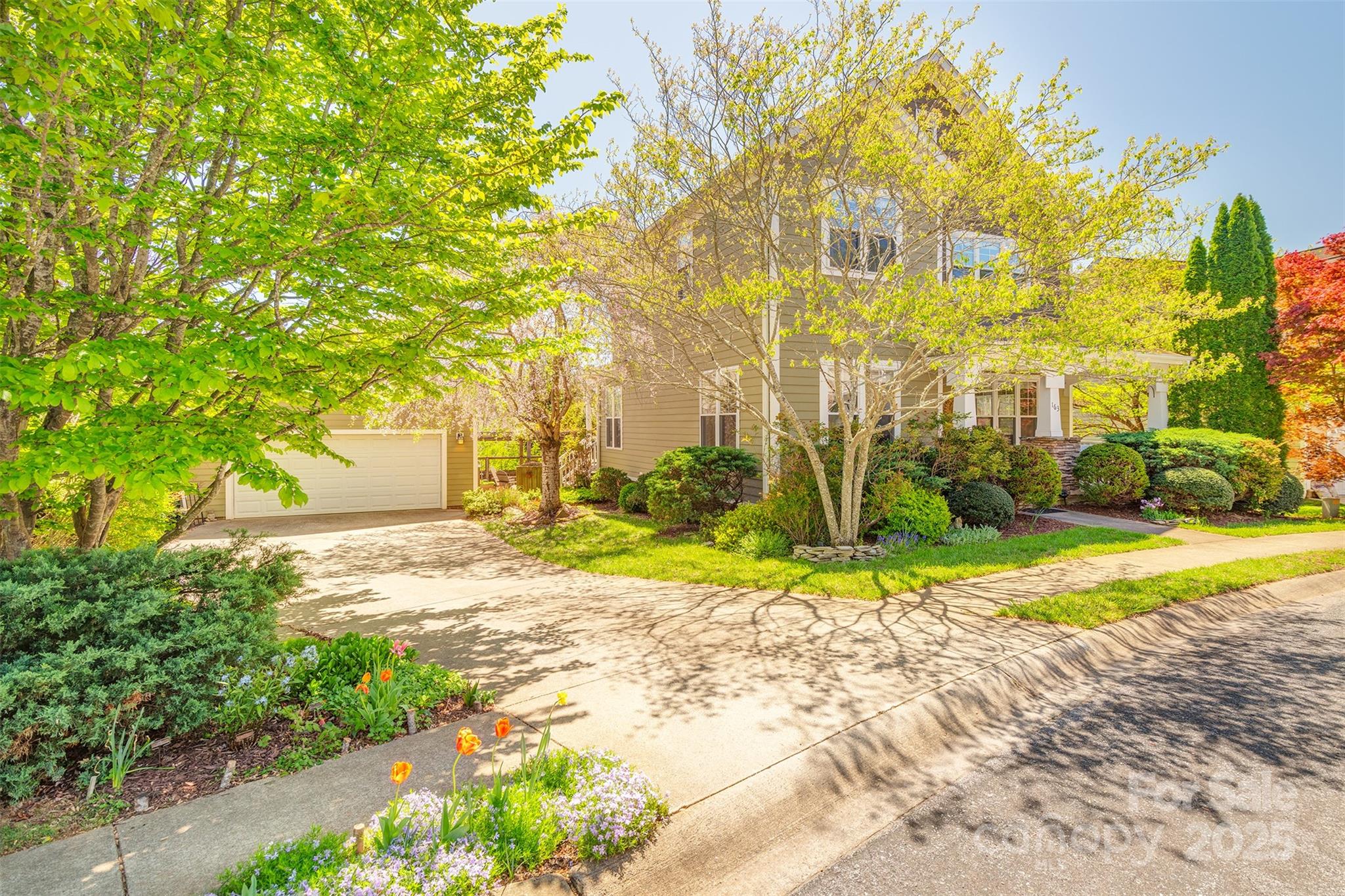 163 Carolina Bluebird Loop