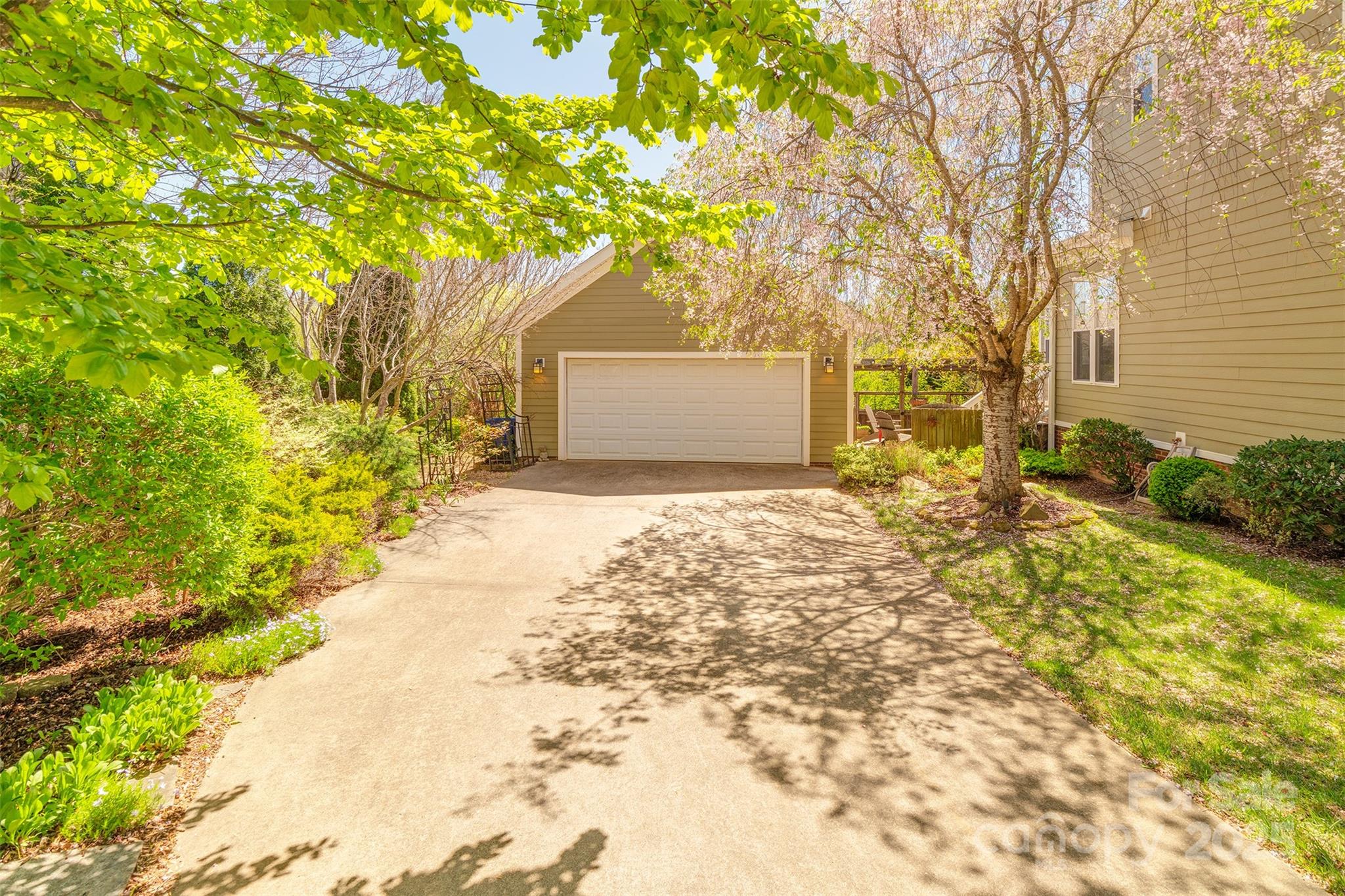 163 Carolina Bluebird Loop