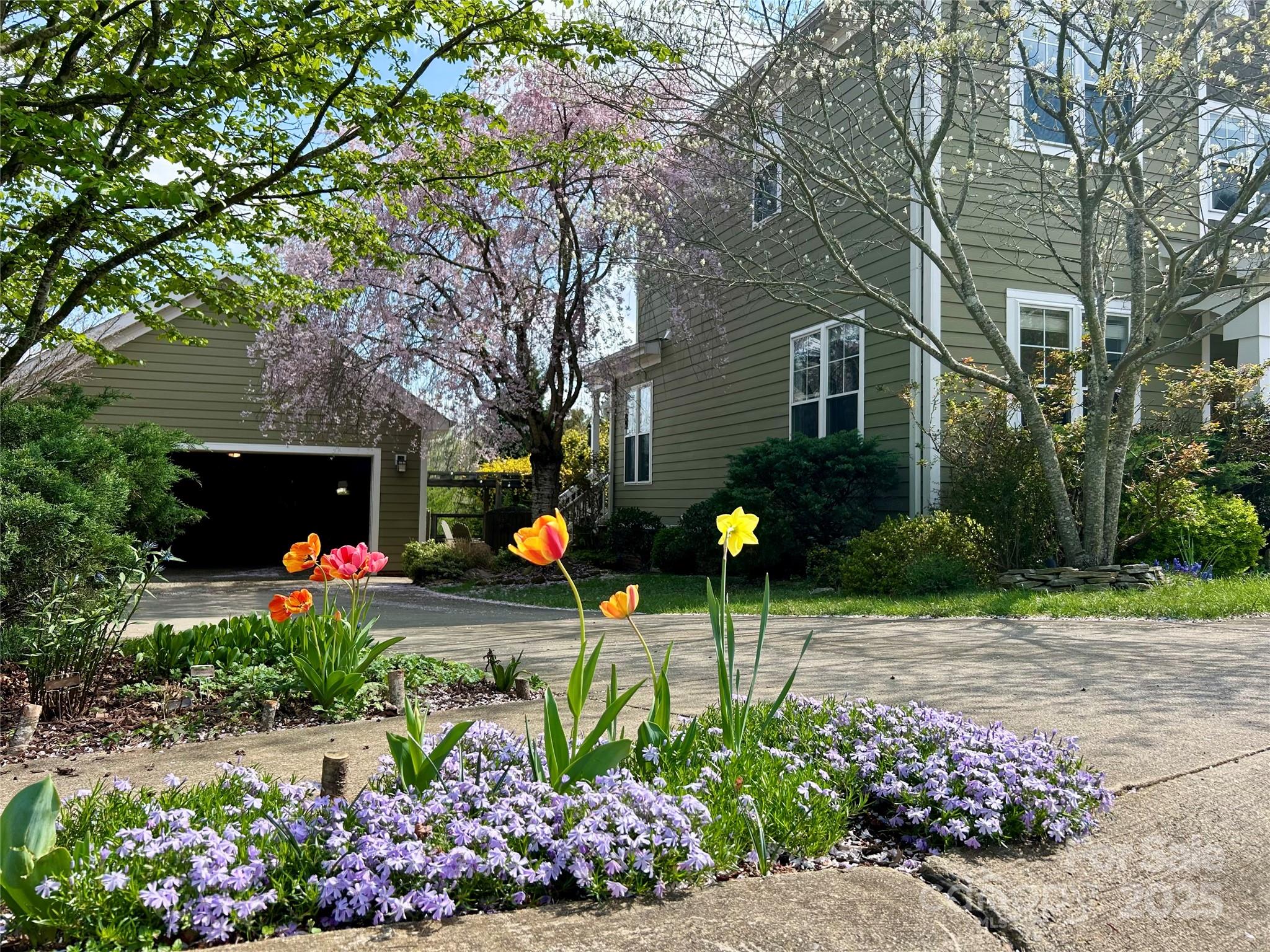 163 Carolina Bluebird Loop