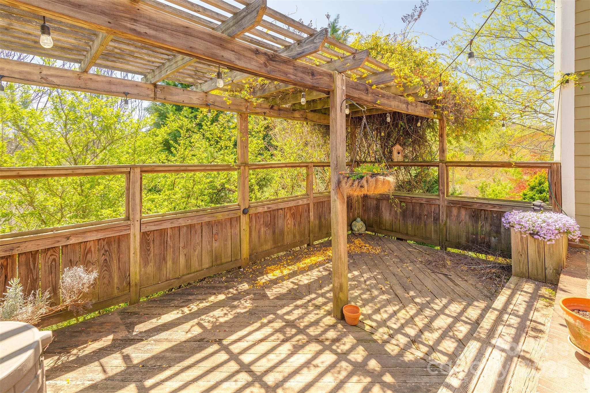 163 Carolina Bluebird Loop