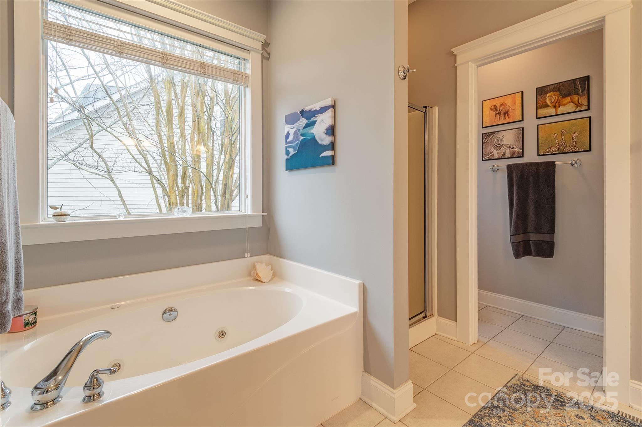 163 Carolina Bluebird Loop