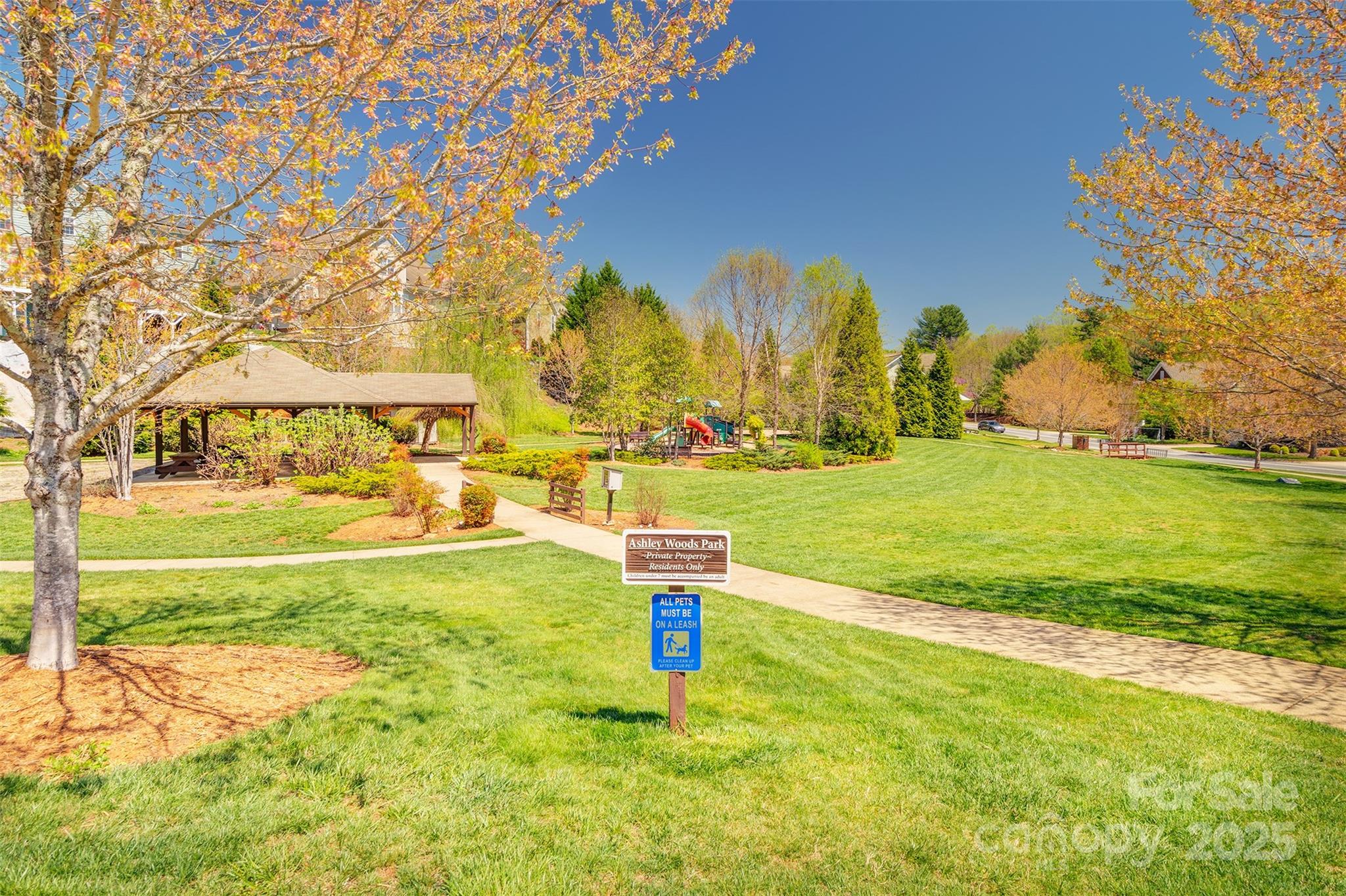 163 Carolina Bluebird Loop