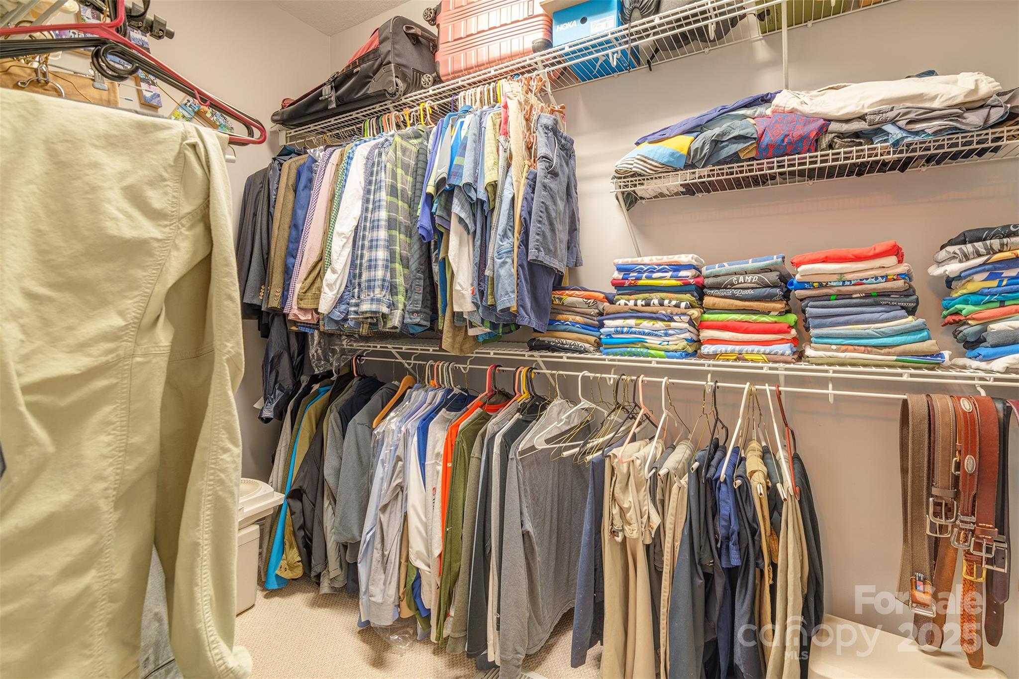 163 Carolina Bluebird Loop